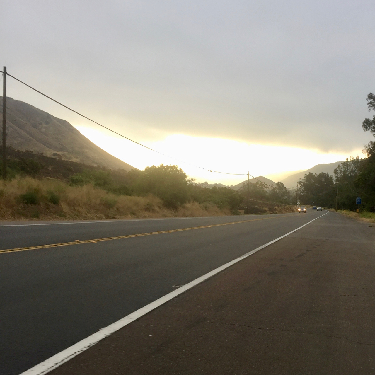 Willow Glen as the fog begins to lift.