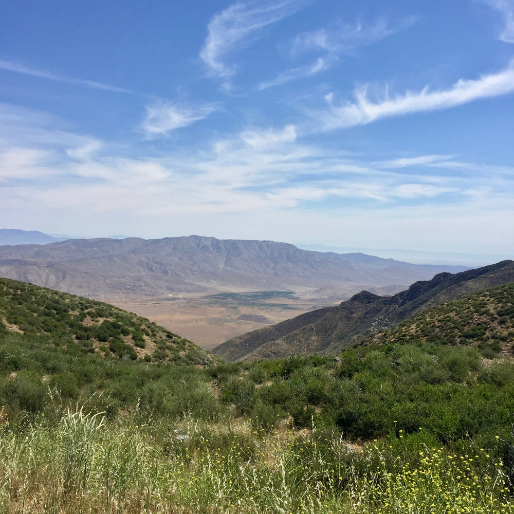 Desert view from Mount Laguna.