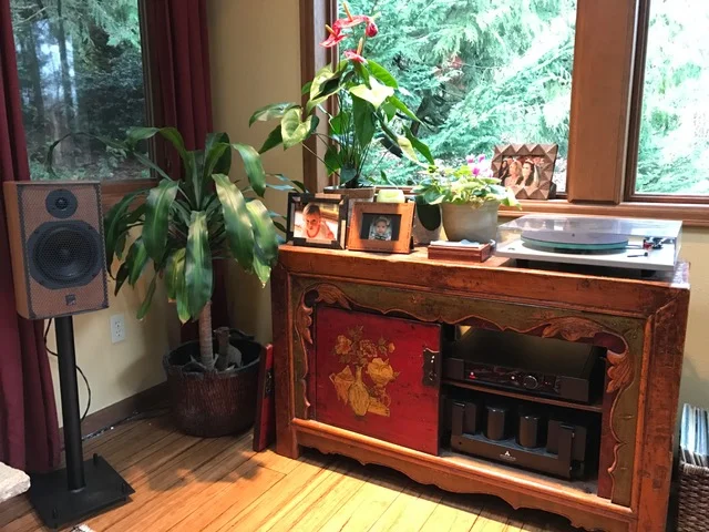 Jim S System : ATC SCM-11 speakers, Gig Harbor Audio 24" stands, Rega Elex-R integrated, Rega P3 turntable with Dynavetor 10x5 cartridge.