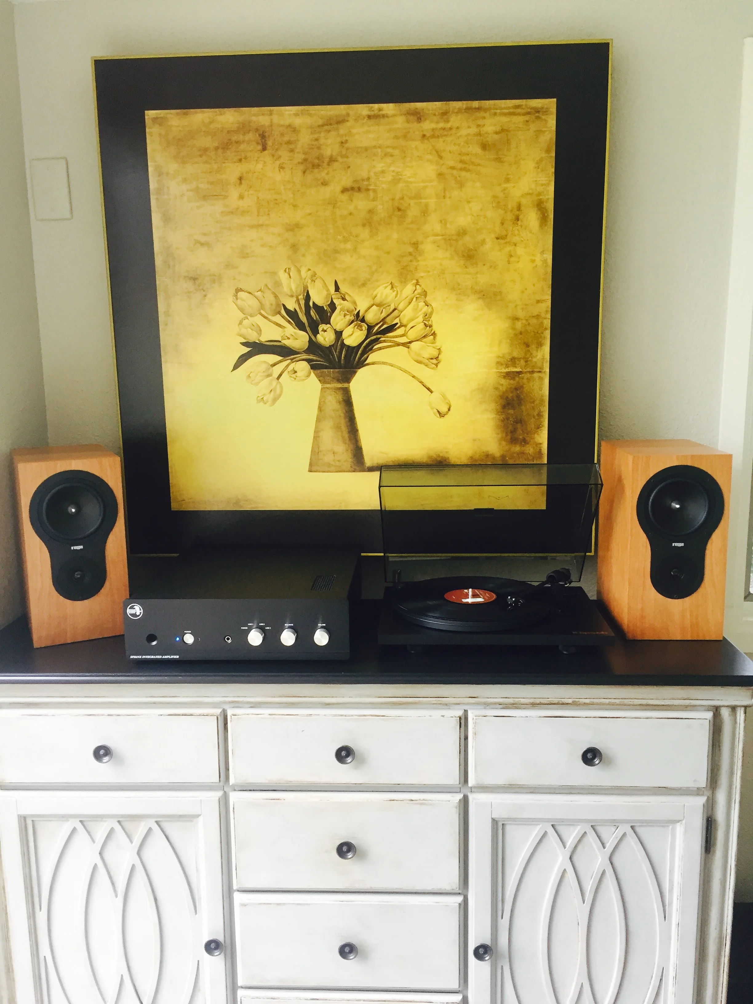 Aaron T System: Rogue Audio Sphinx integrated, Rega RX1 speakers, Project turntable. NICE!!