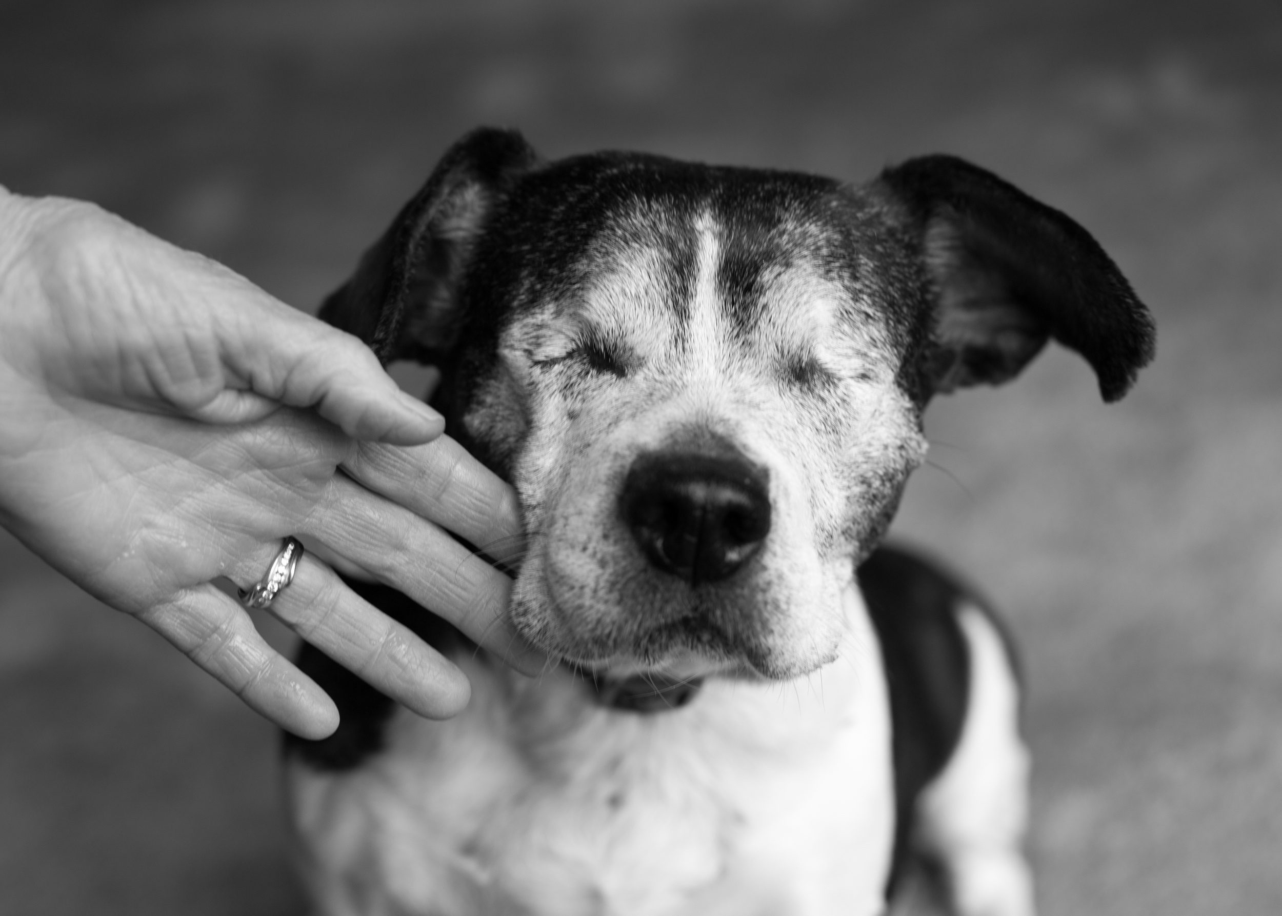 Jessie and the hand of her beloved