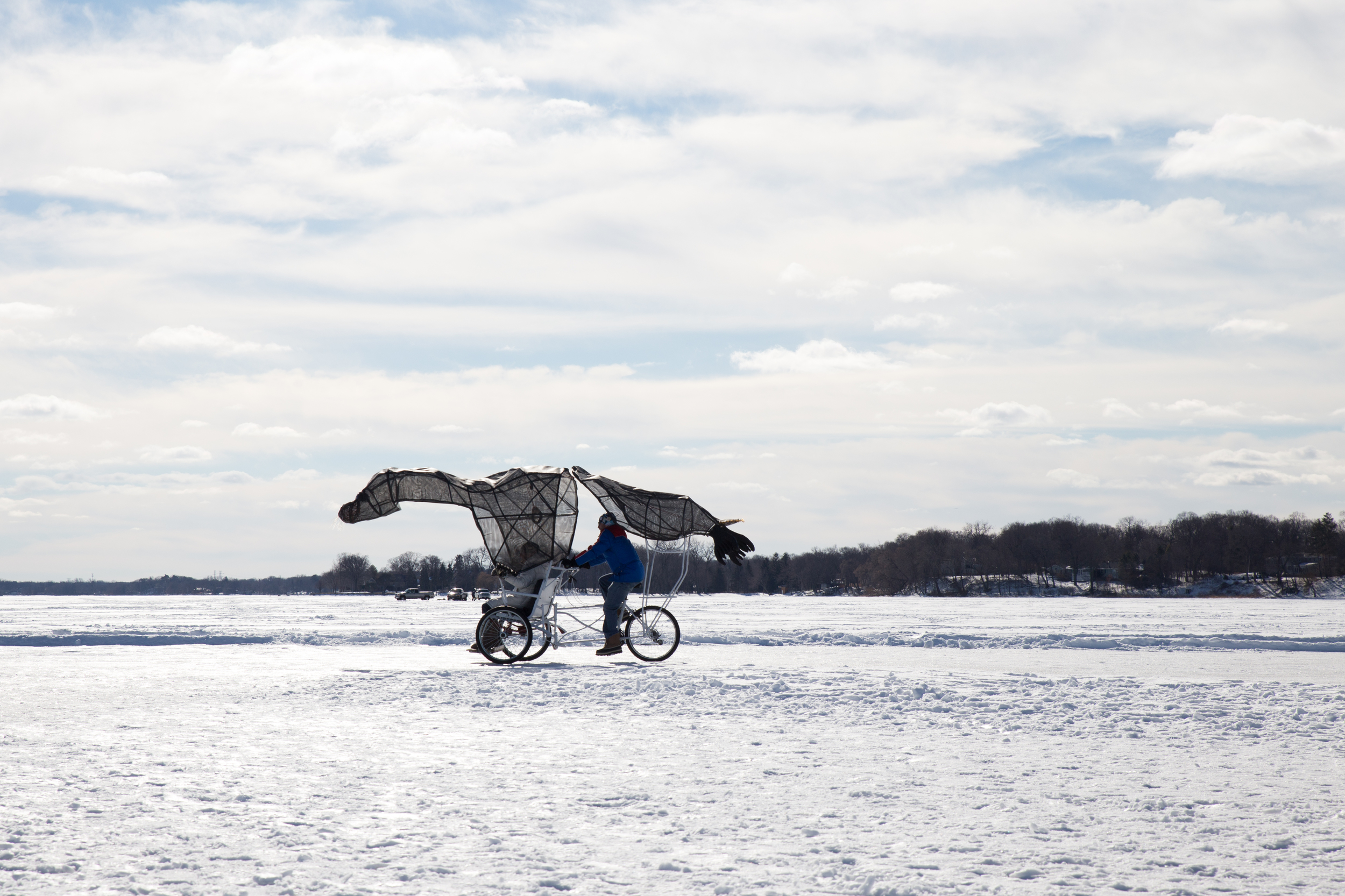 A sighting of the seal bike!