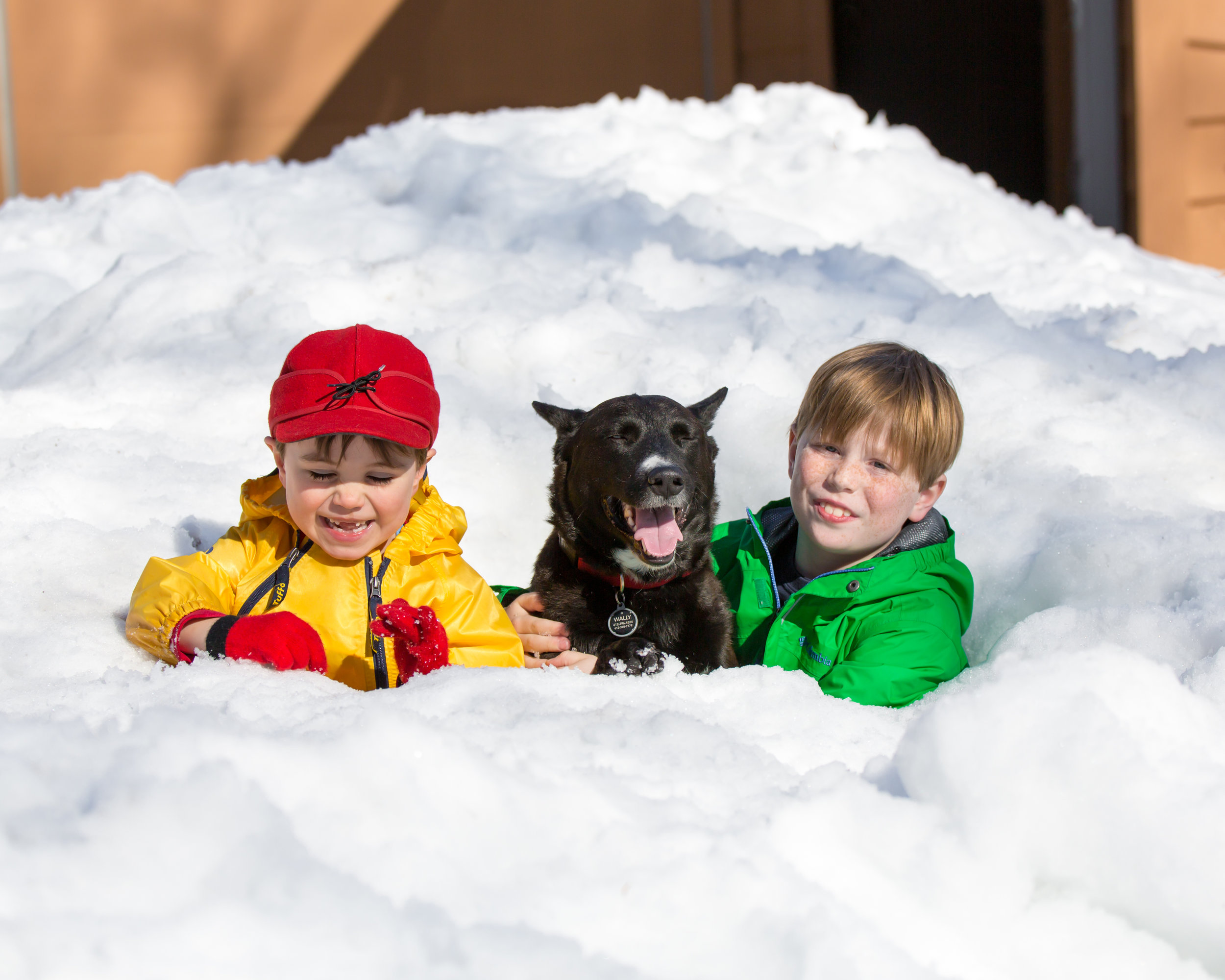 even Wally the pup loves a good snow fort!