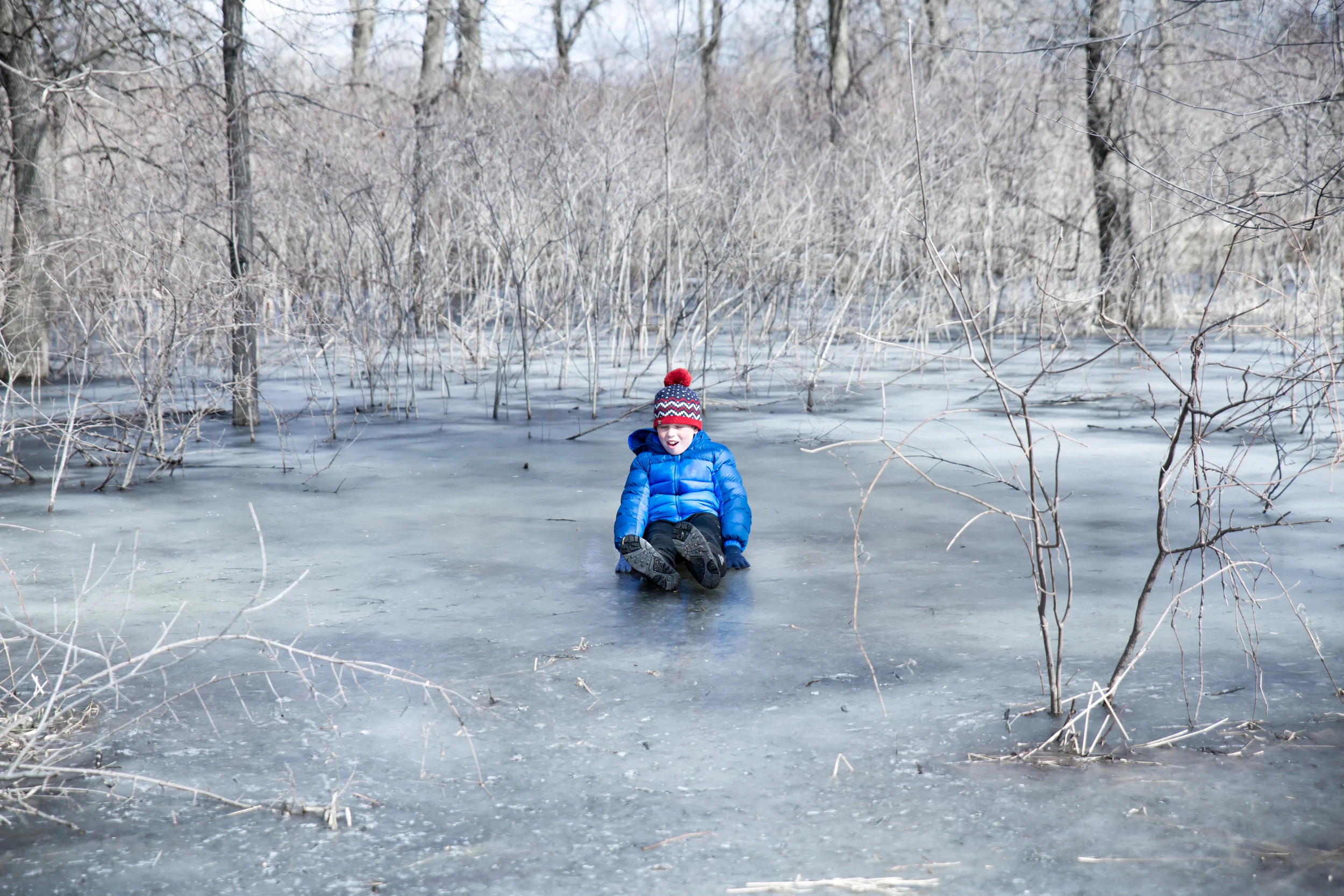 A Late Winter Walk Hyland Hills Park, Bloomington — Photography by