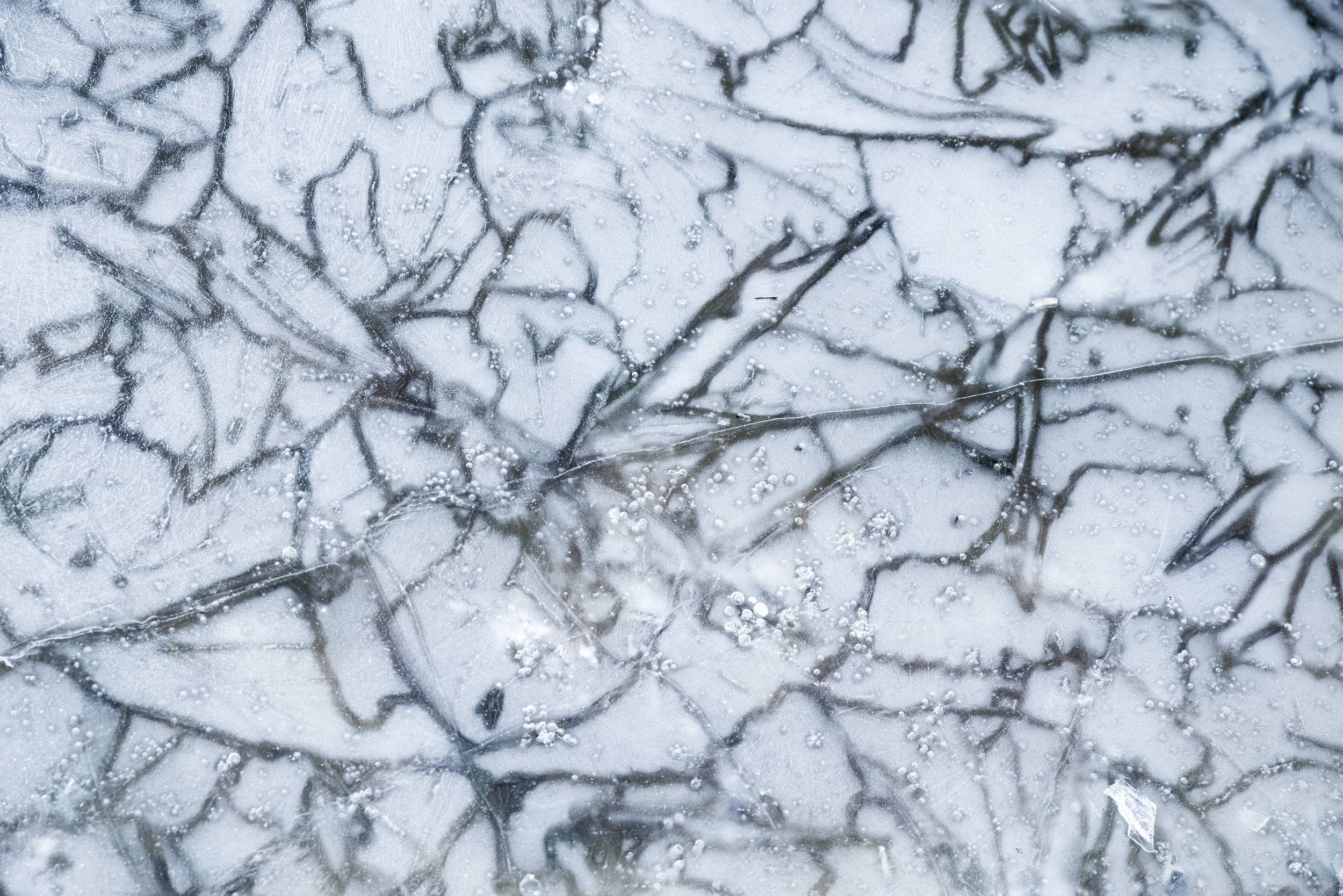 Patterns on ice