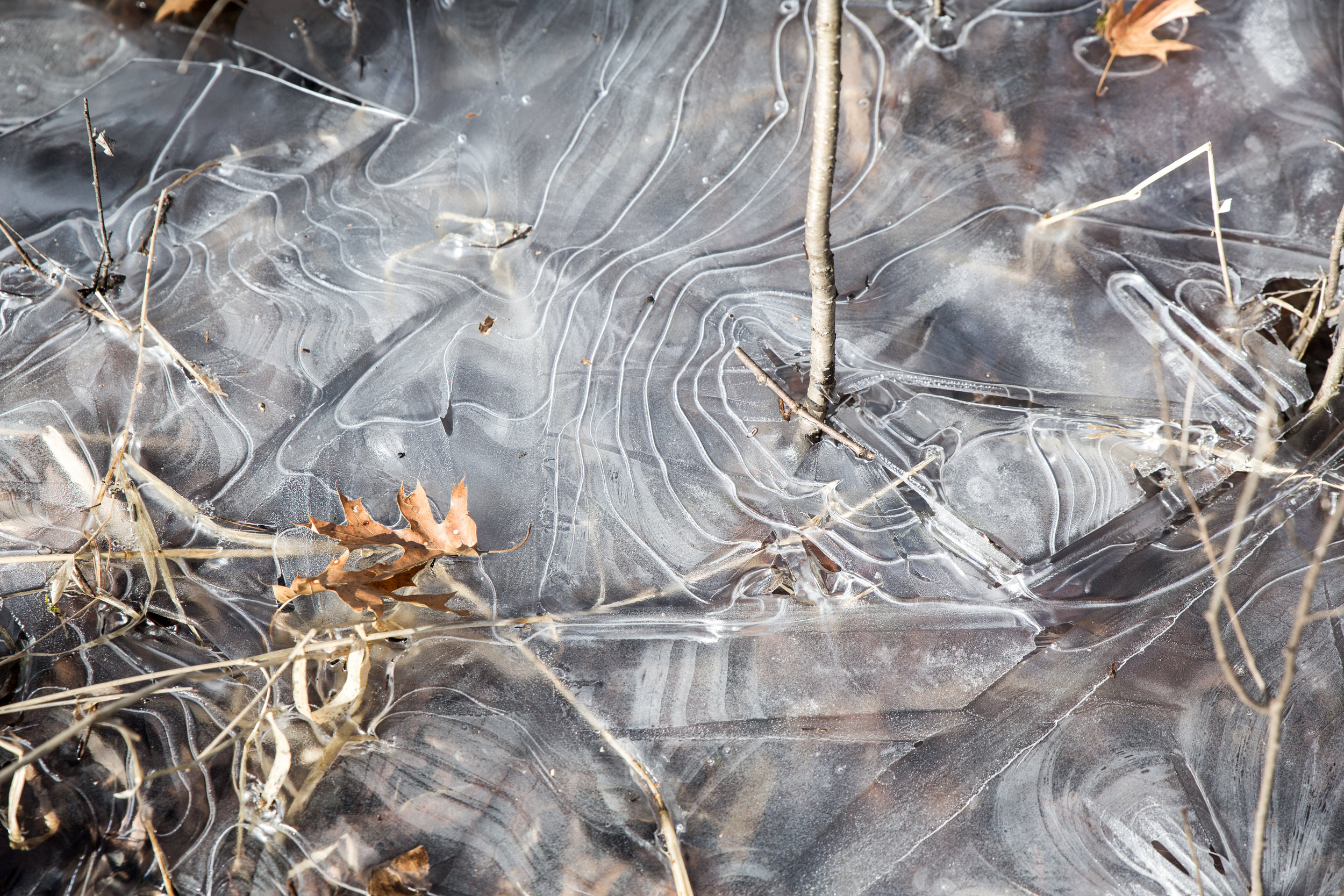 fragile ice