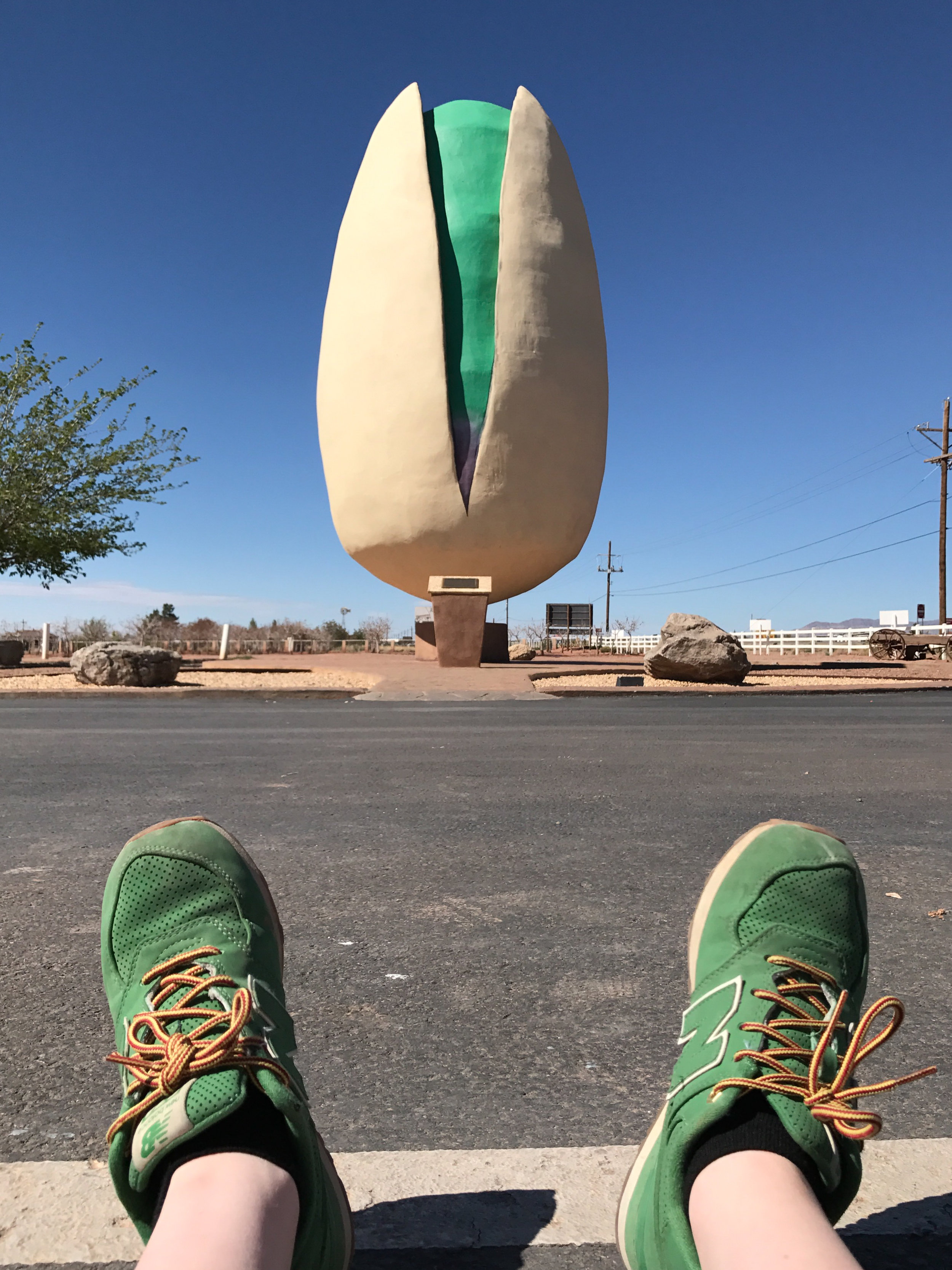 Pistachio Ranch in Alamogordo