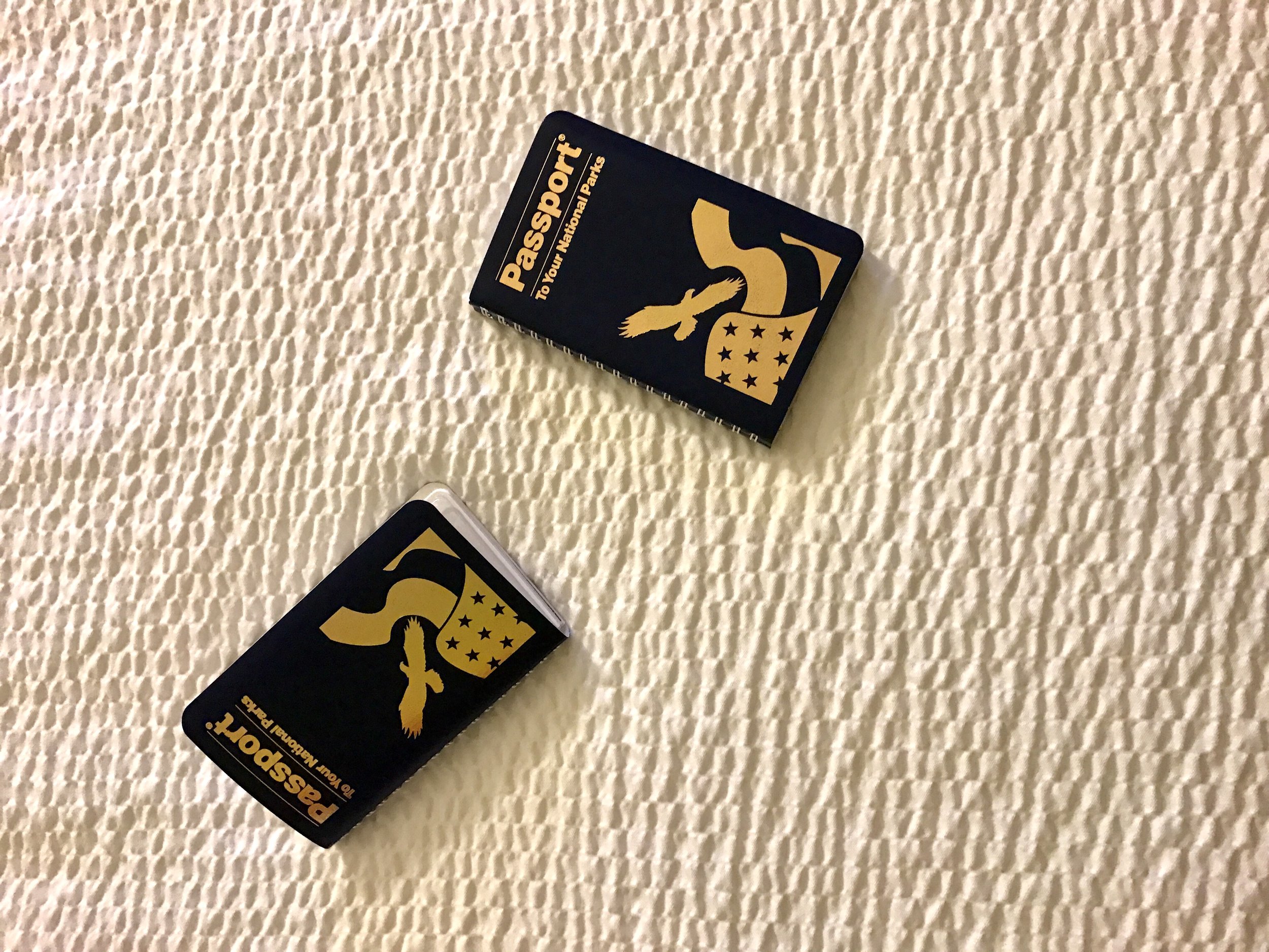 Be sure to buy your kids National Park Passports while they are young! They get a stamp at each park and monument they visit! My kids think these are more valuable than their regular passports! And I love them because they always provide a cheap souvenir of each park!