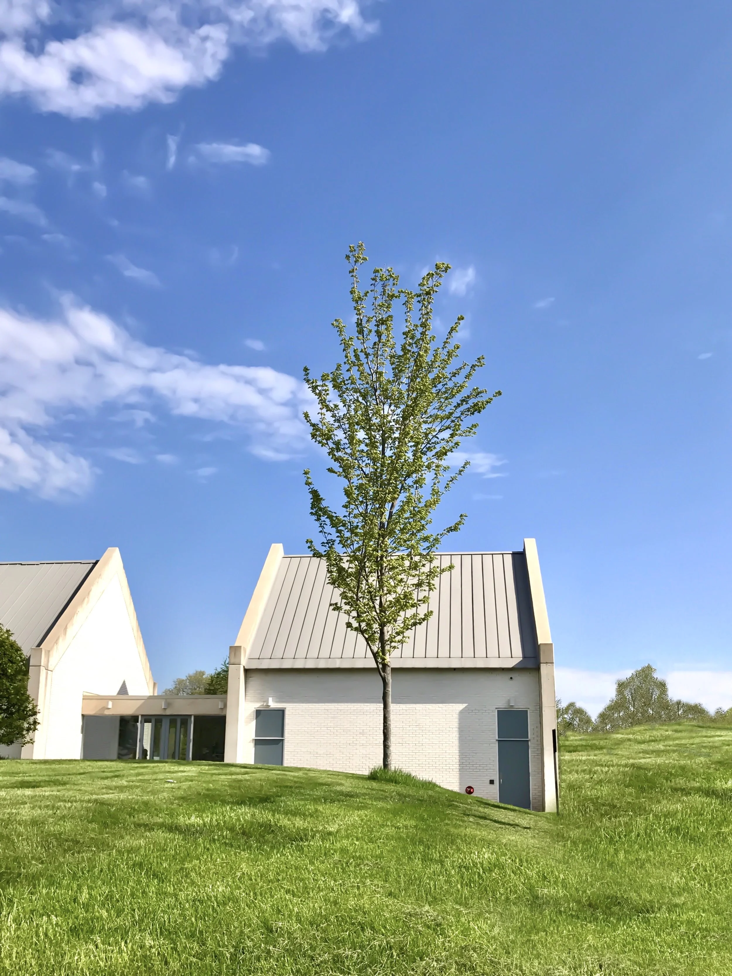 (full disclosure - I edited out a bit of detail on the right side in this photo! I loved the minimalistic vibes of the architecture against the bright green grass!)