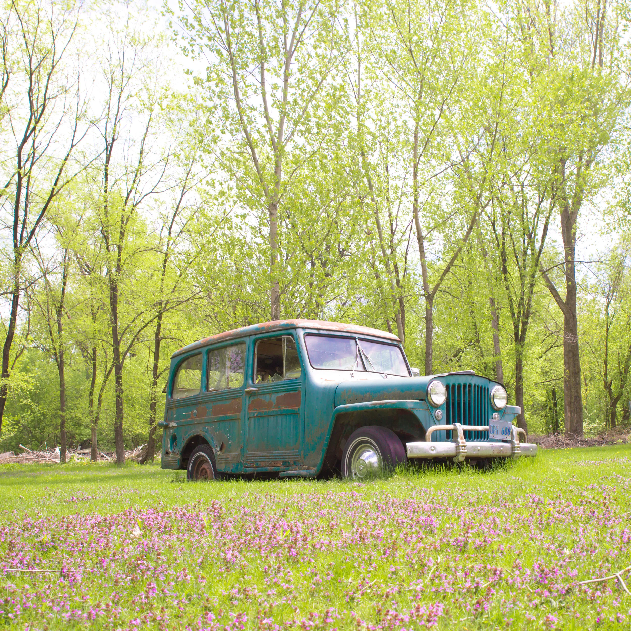 The backyard at Anton's was so charming! Vintage cars and a pond with farm ducks and geese.