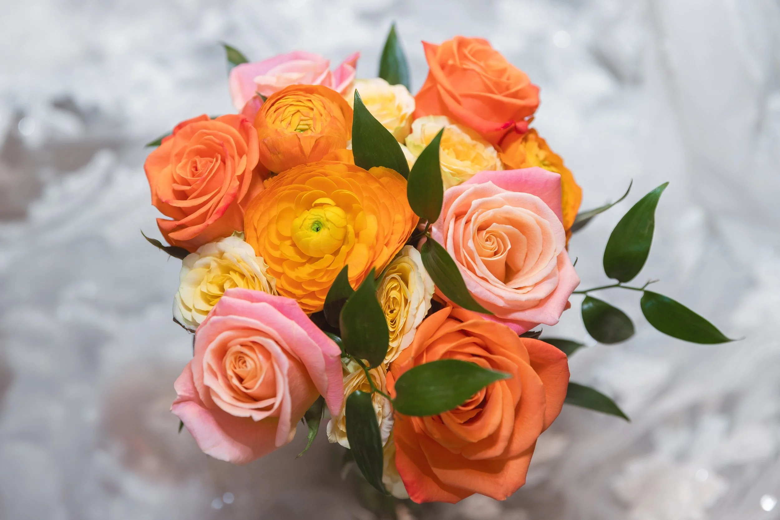 LOW RES Photography By Jill Emmer -19.jpg