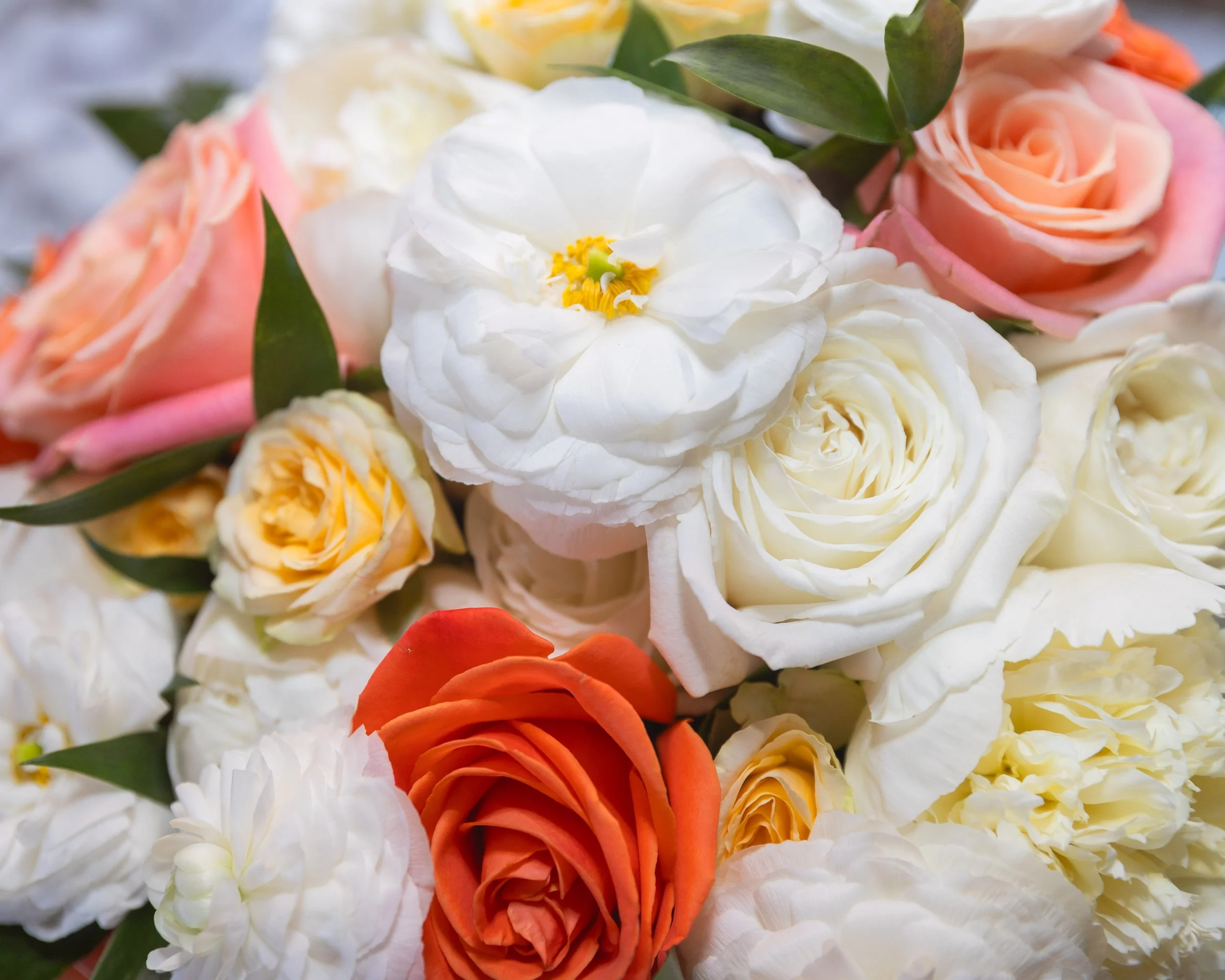 LOW RES Photography By Jill Emmer -21.jpg