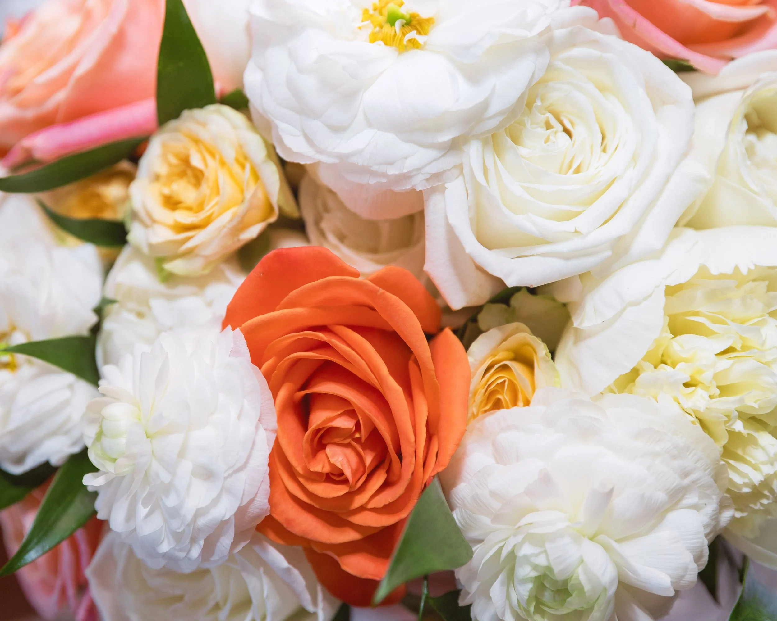 LOW RES Photography By Jill Emmer -22.jpg