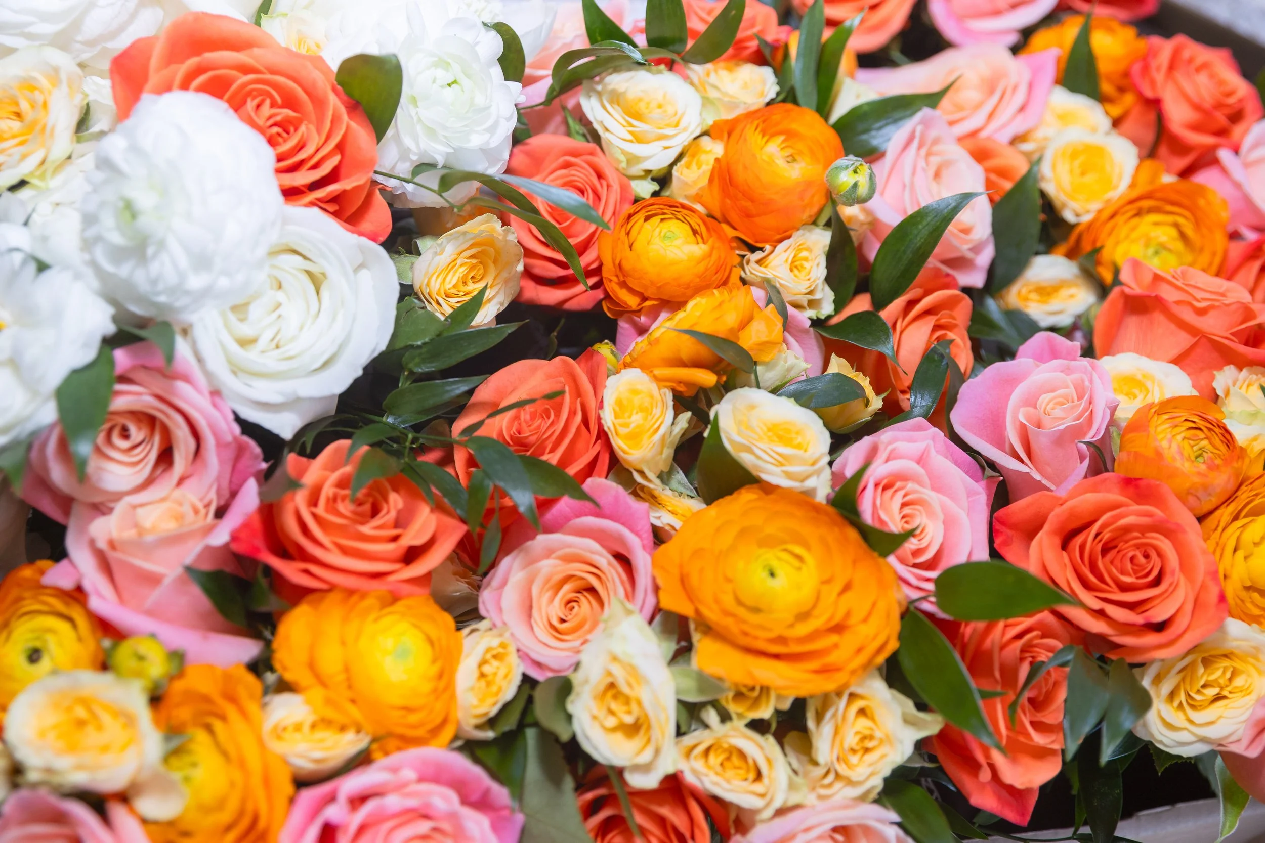 LOW RES Photography By Jill Emmer -26.jpg