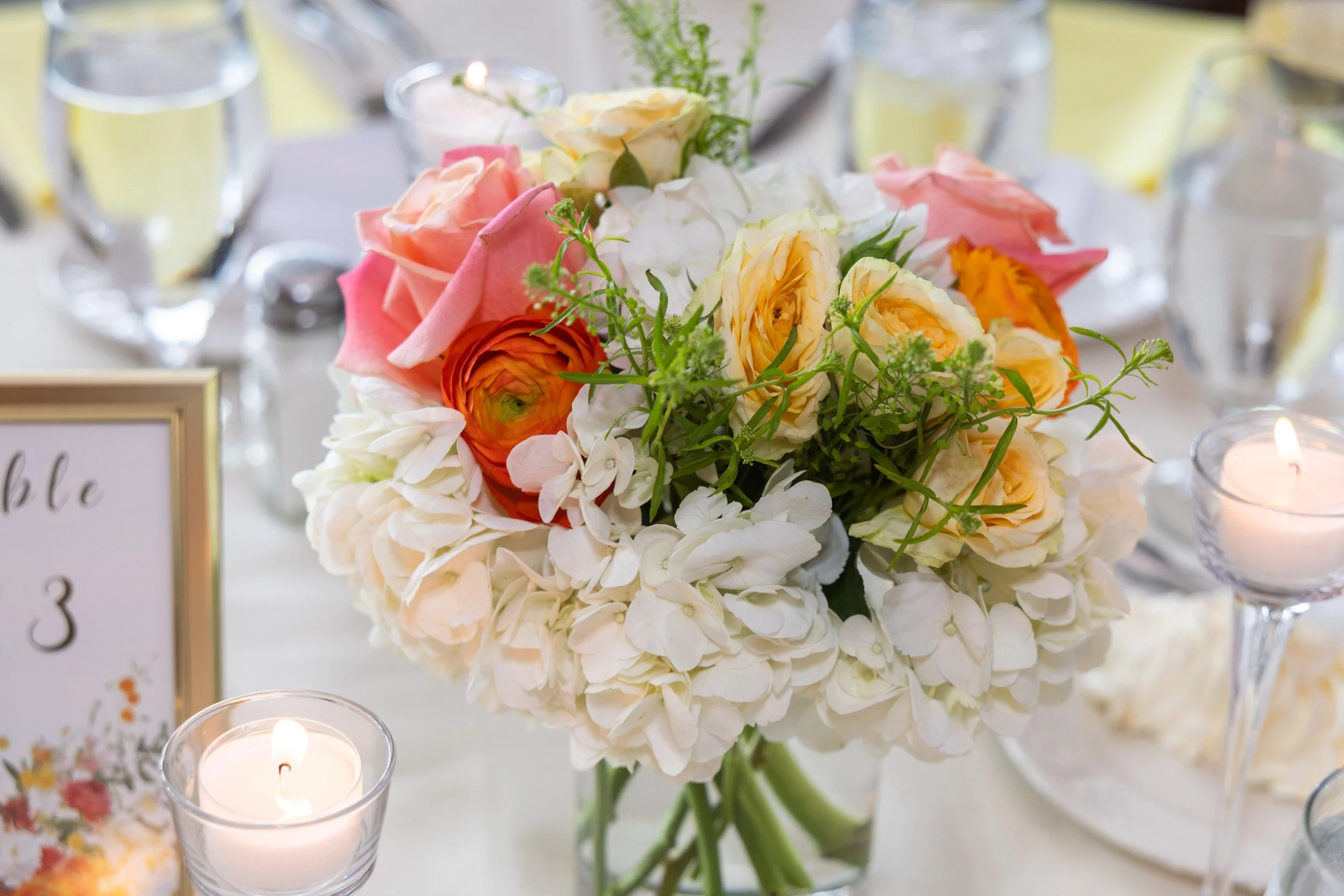 LOW RES Photography By Jill Emmer -420.jpg