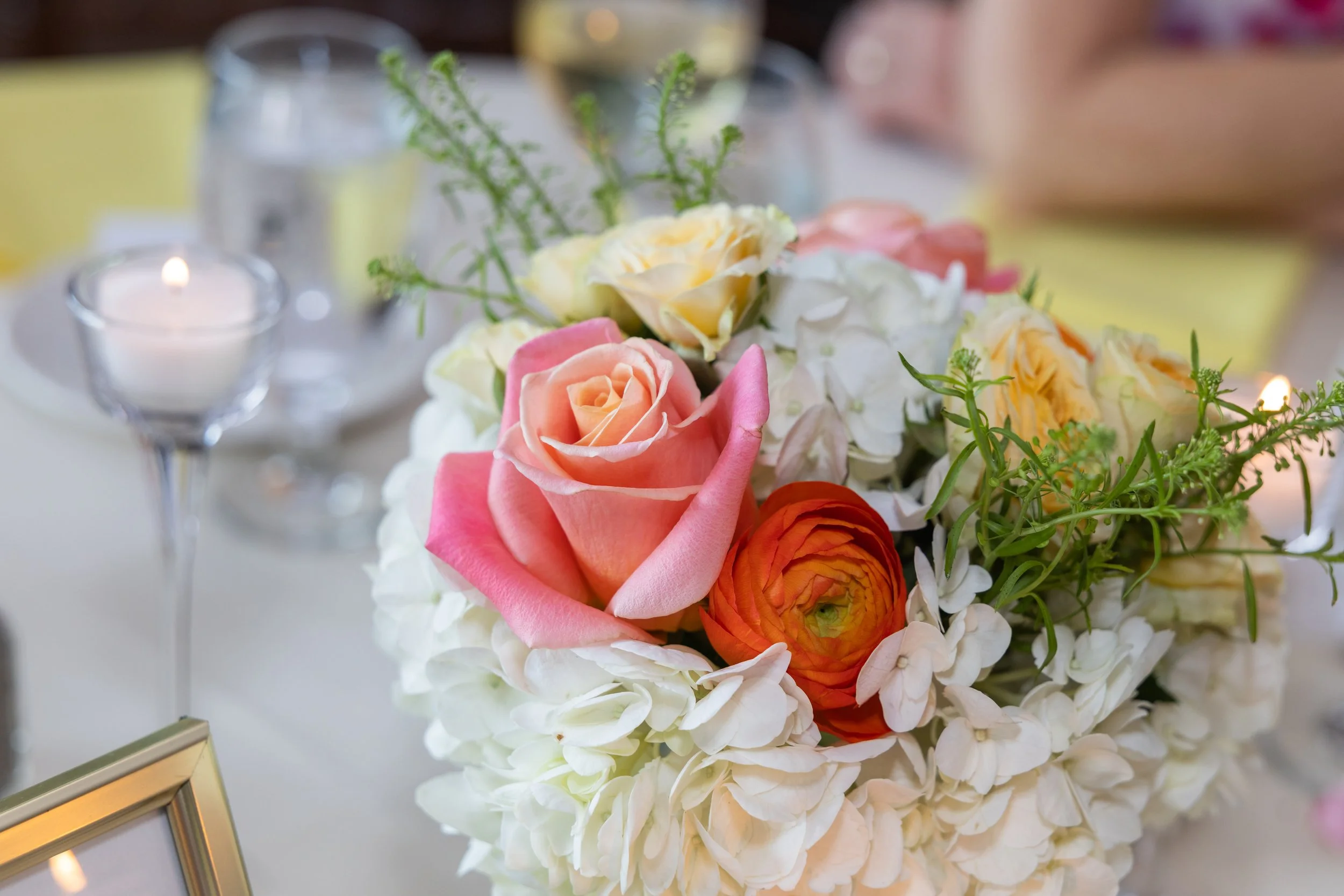 LOW RES Photography By Jill Emmer -422.jpg