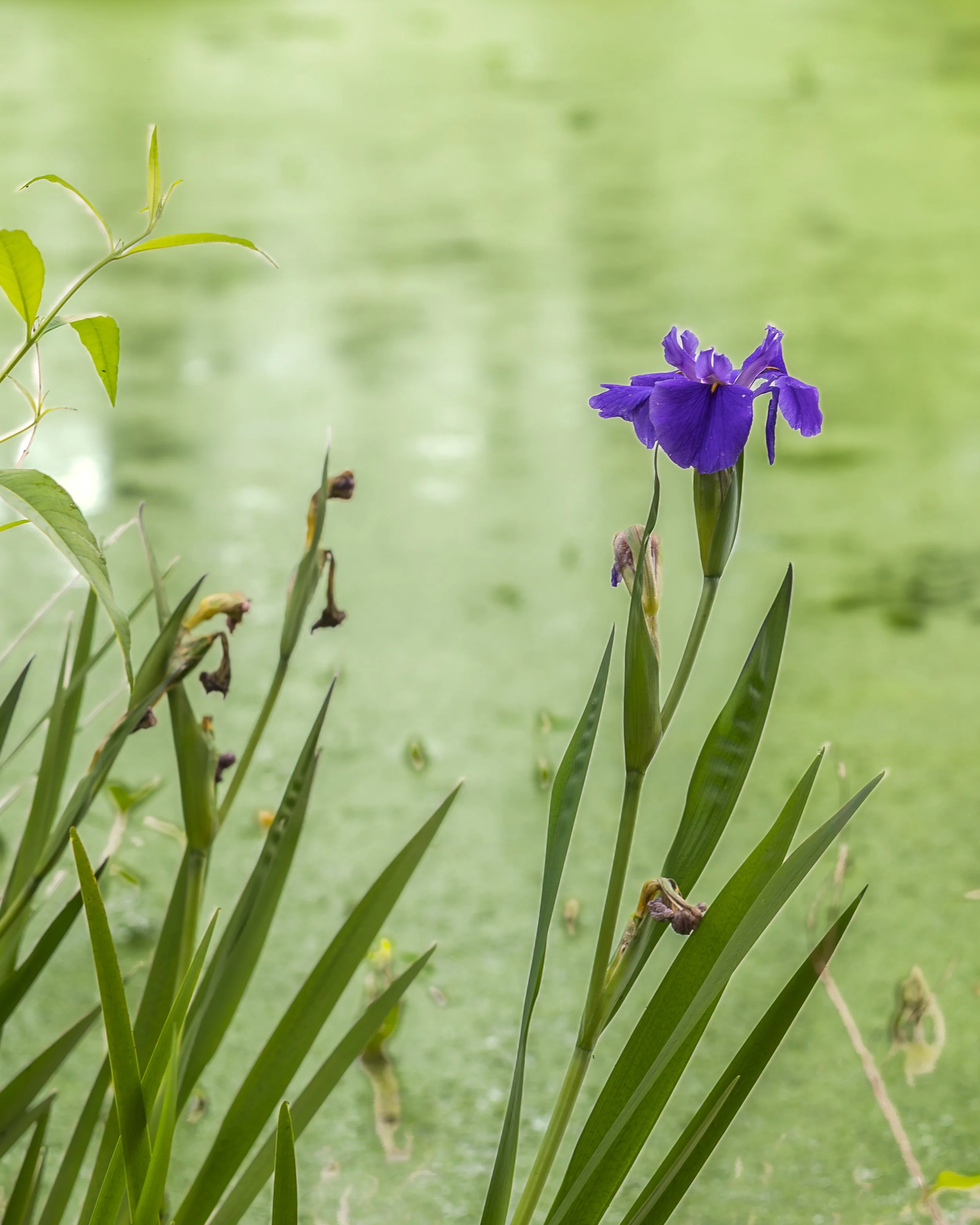 LOW RES Photography By Jill Emmer -28.jpg