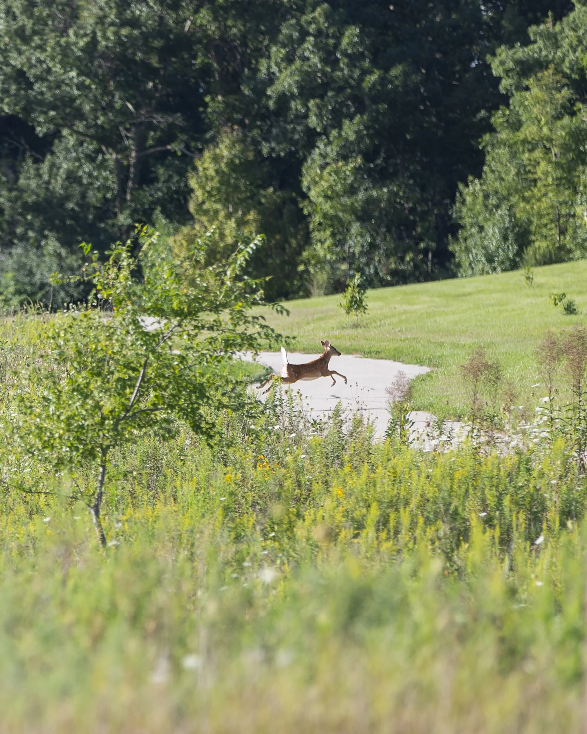 Photography By Jill Emmer -0315.jpg