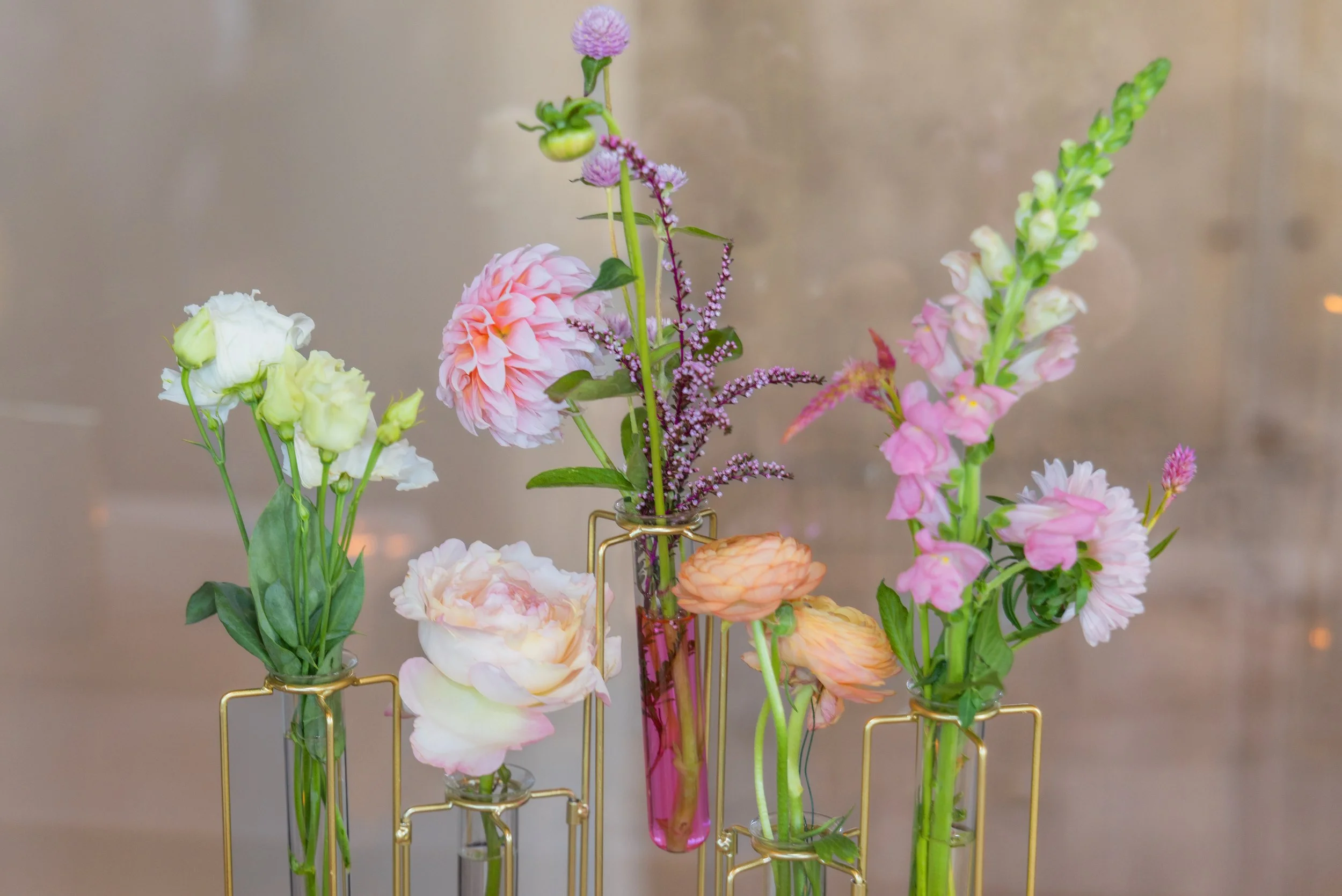 LOW RES Photography By Jill Emmer -168.jpg
