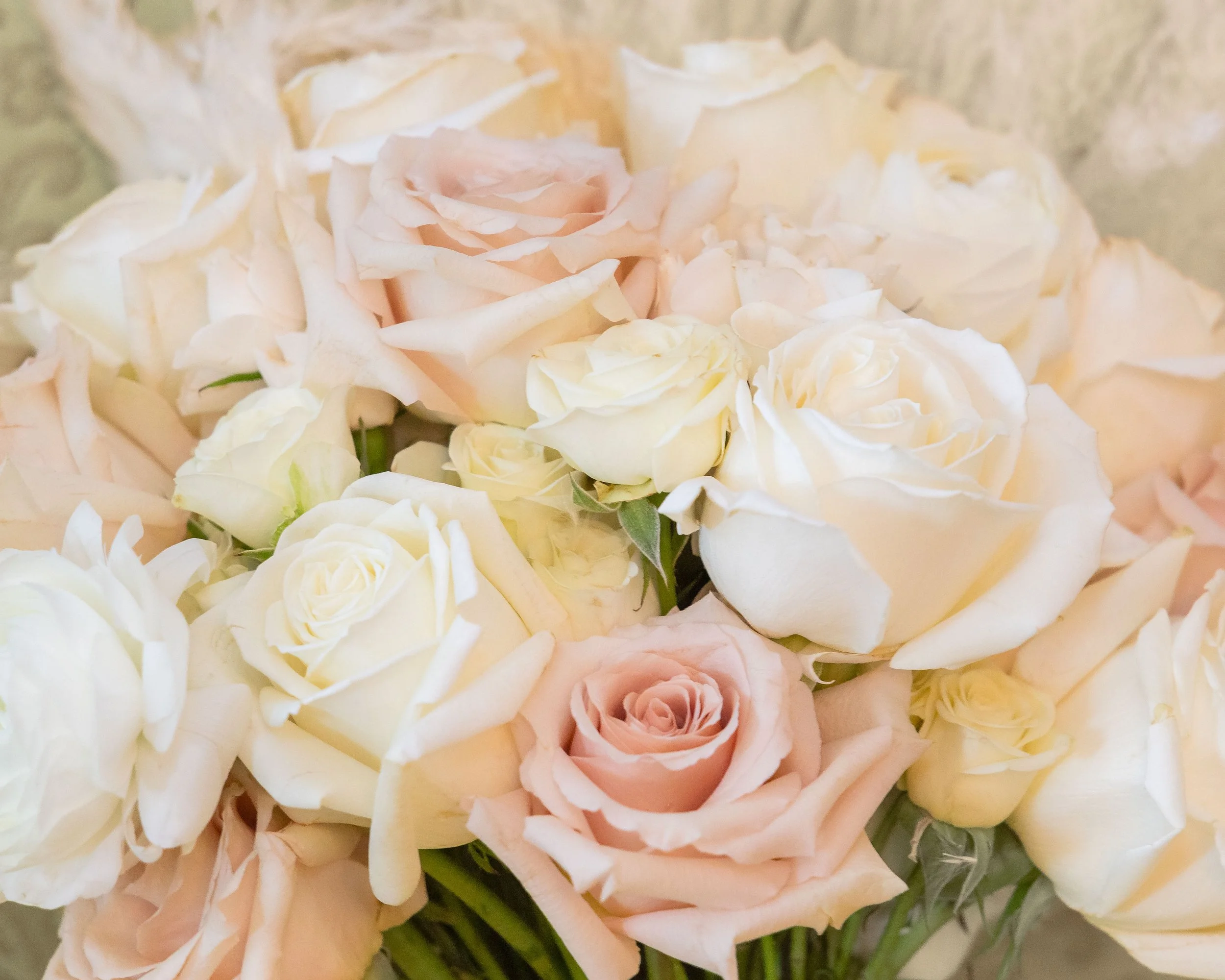 LOW RES Photography By Jill Emmer -124.jpg