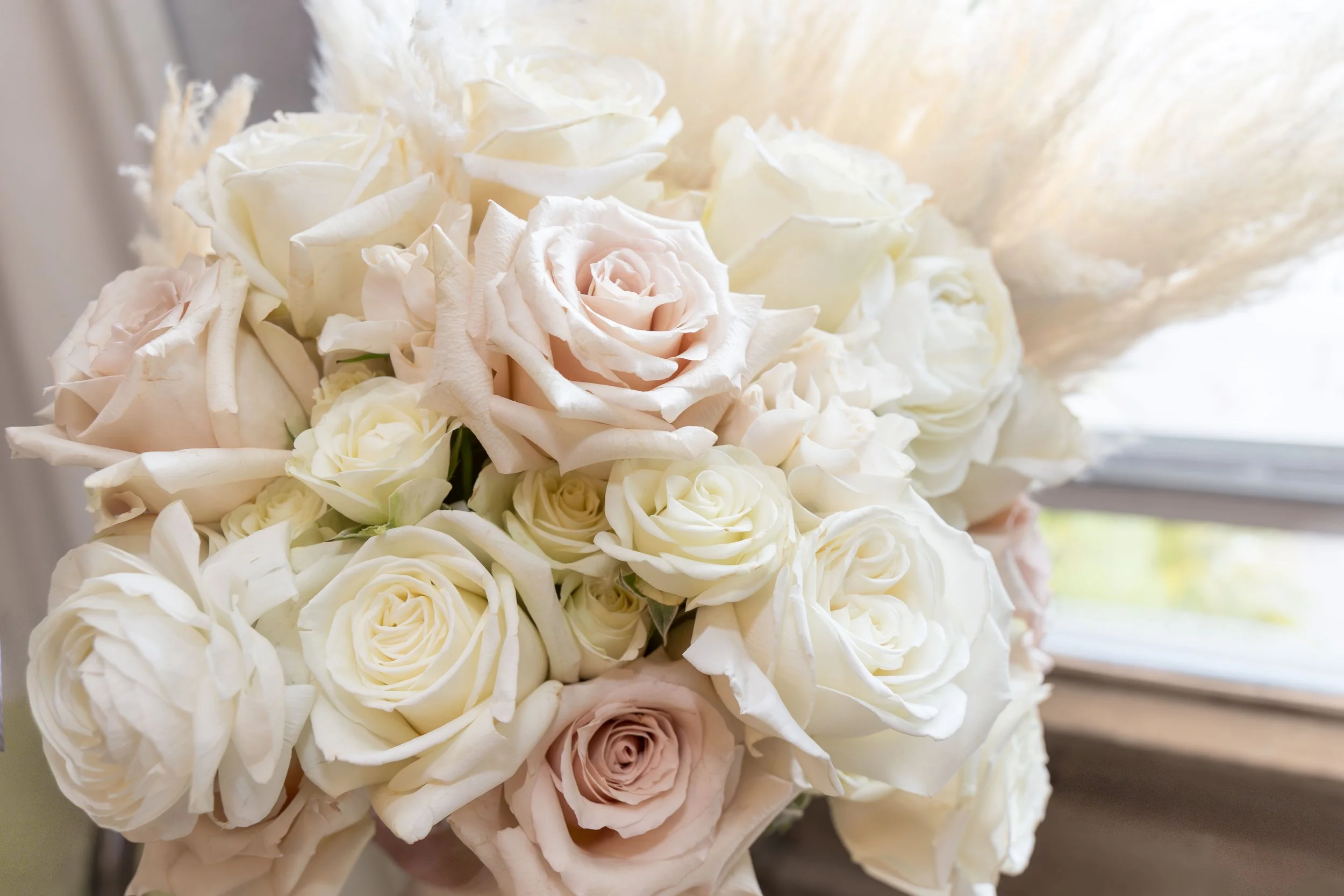 LOW RES Photography By Jill Emmer -125.jpg