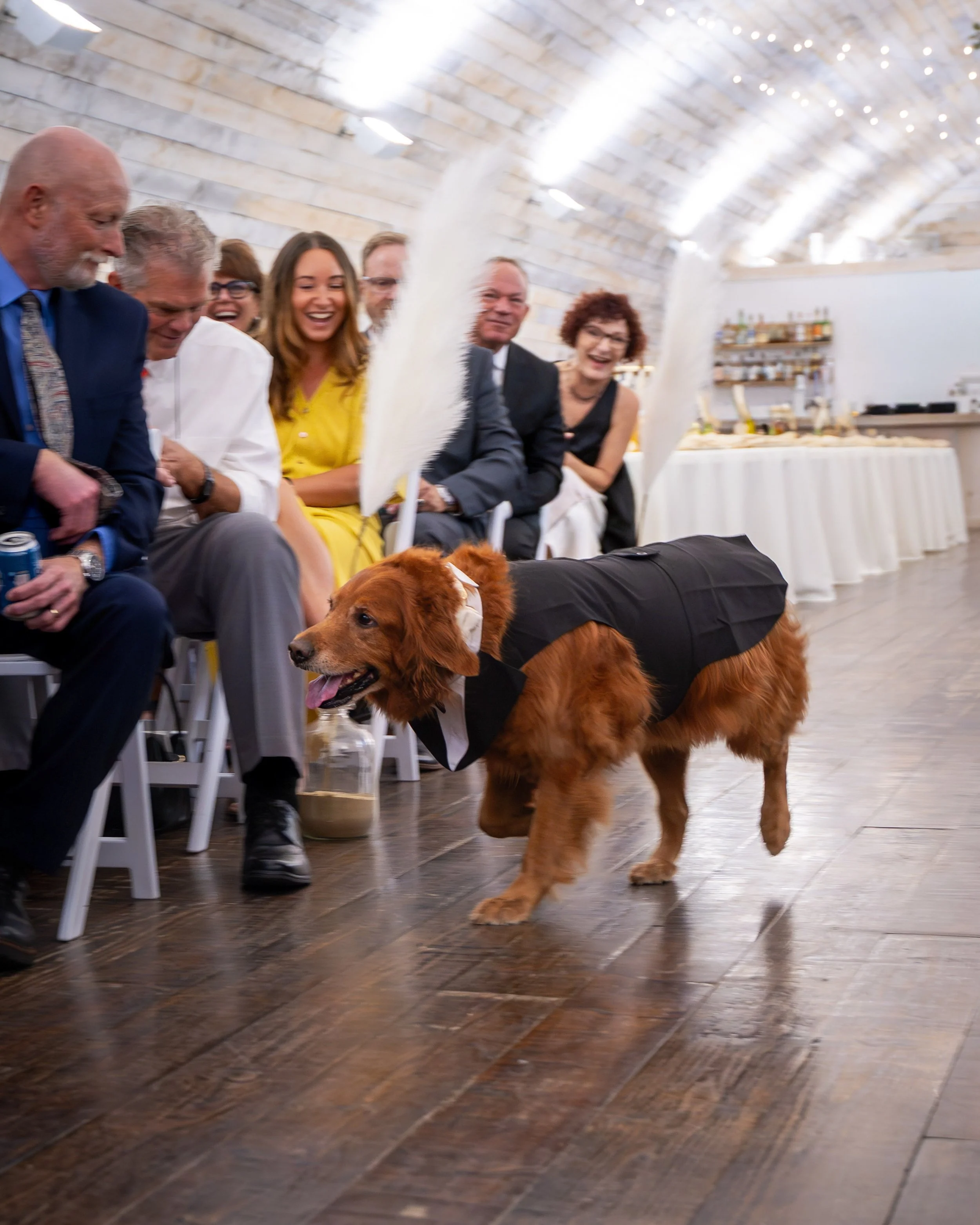 LOW RES Photography By Jill Emmer -430.jpg