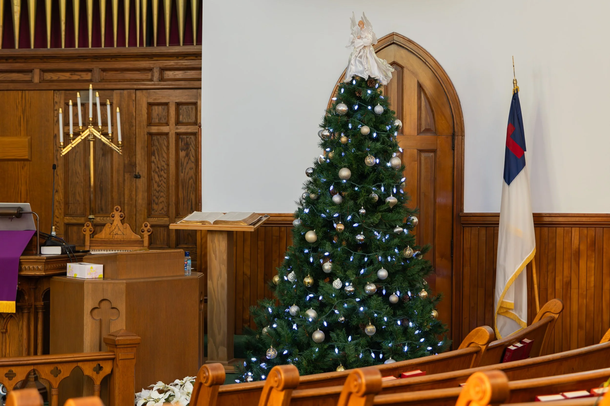 LOW RES Photography By Jill Emmer -83.jpg