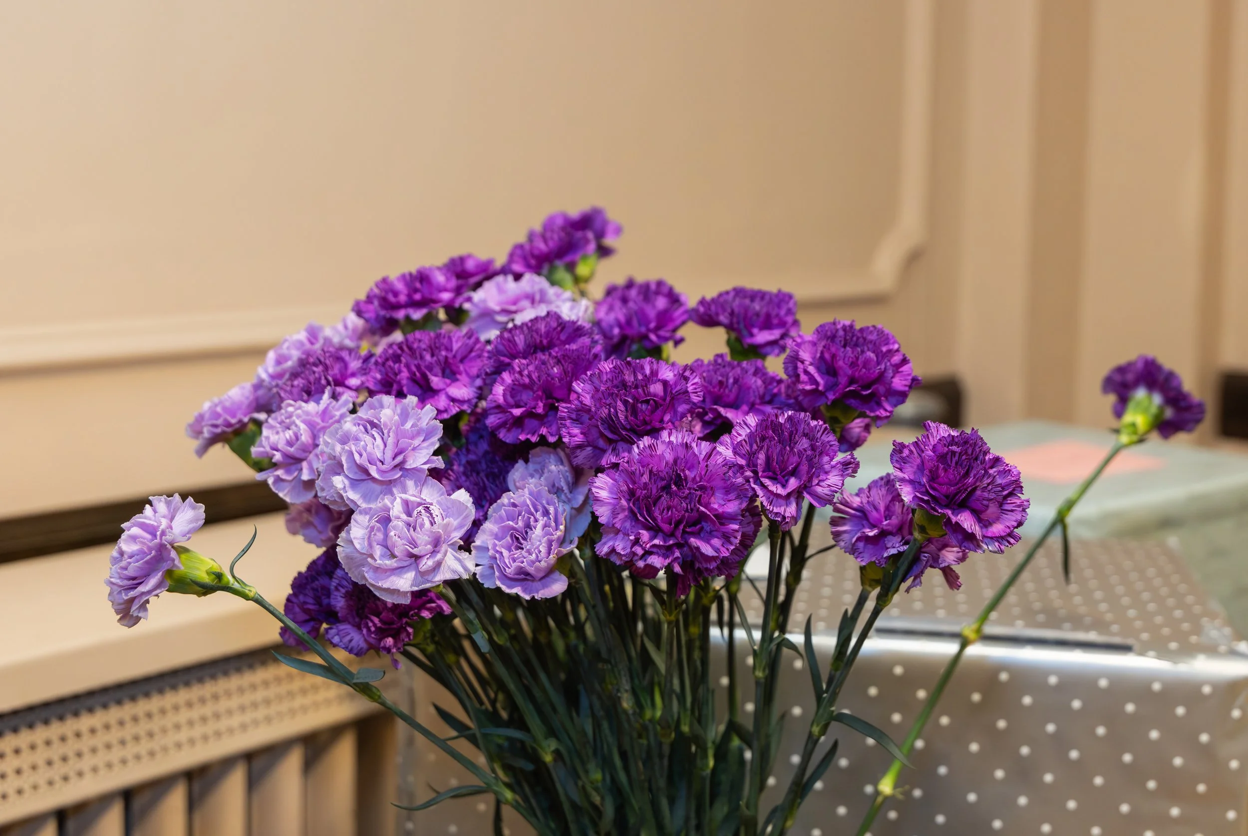 LOW RES Photography By Jill Emmer -466.jpg