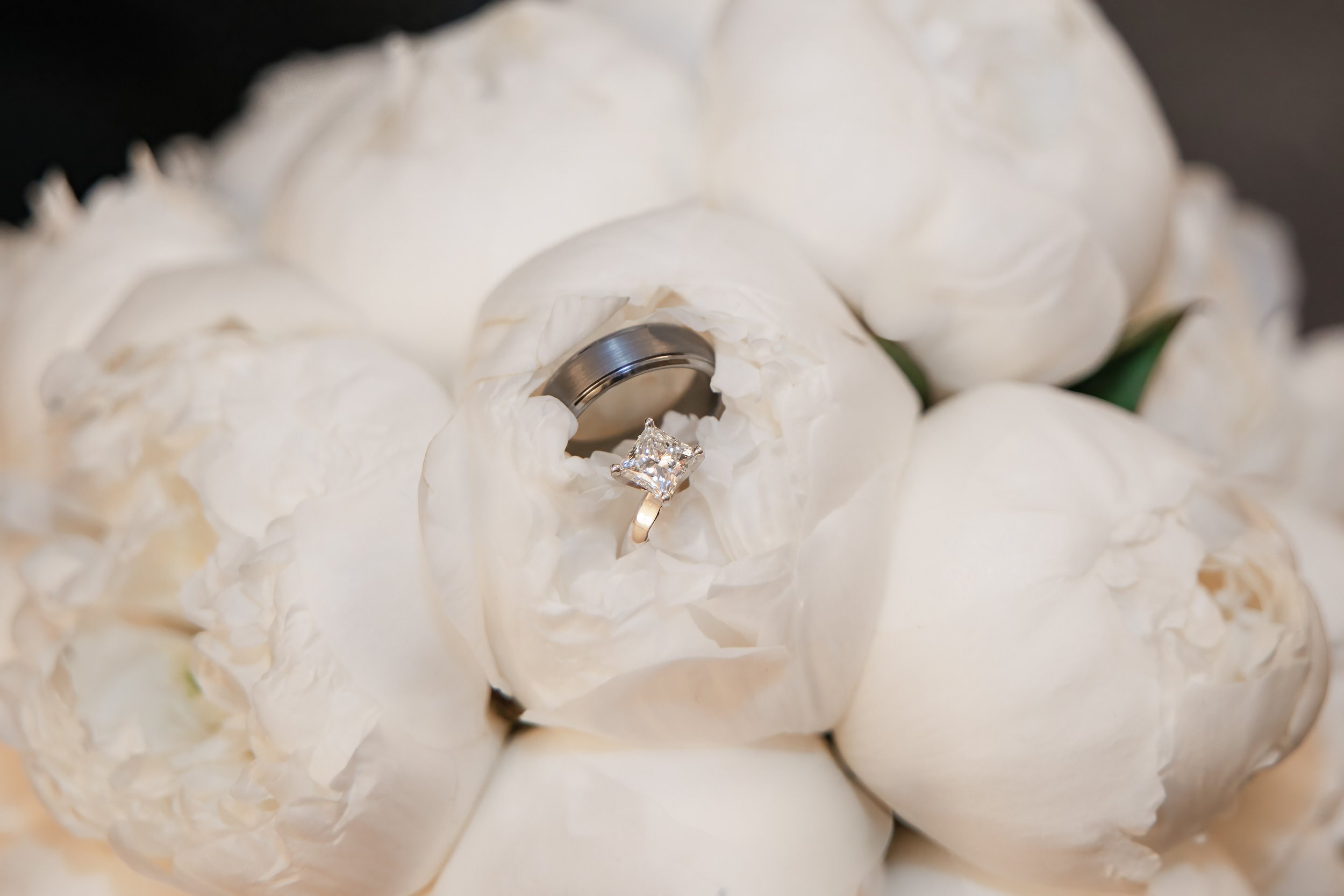 LOW RES Photography By Jill Emmer-499.jpg