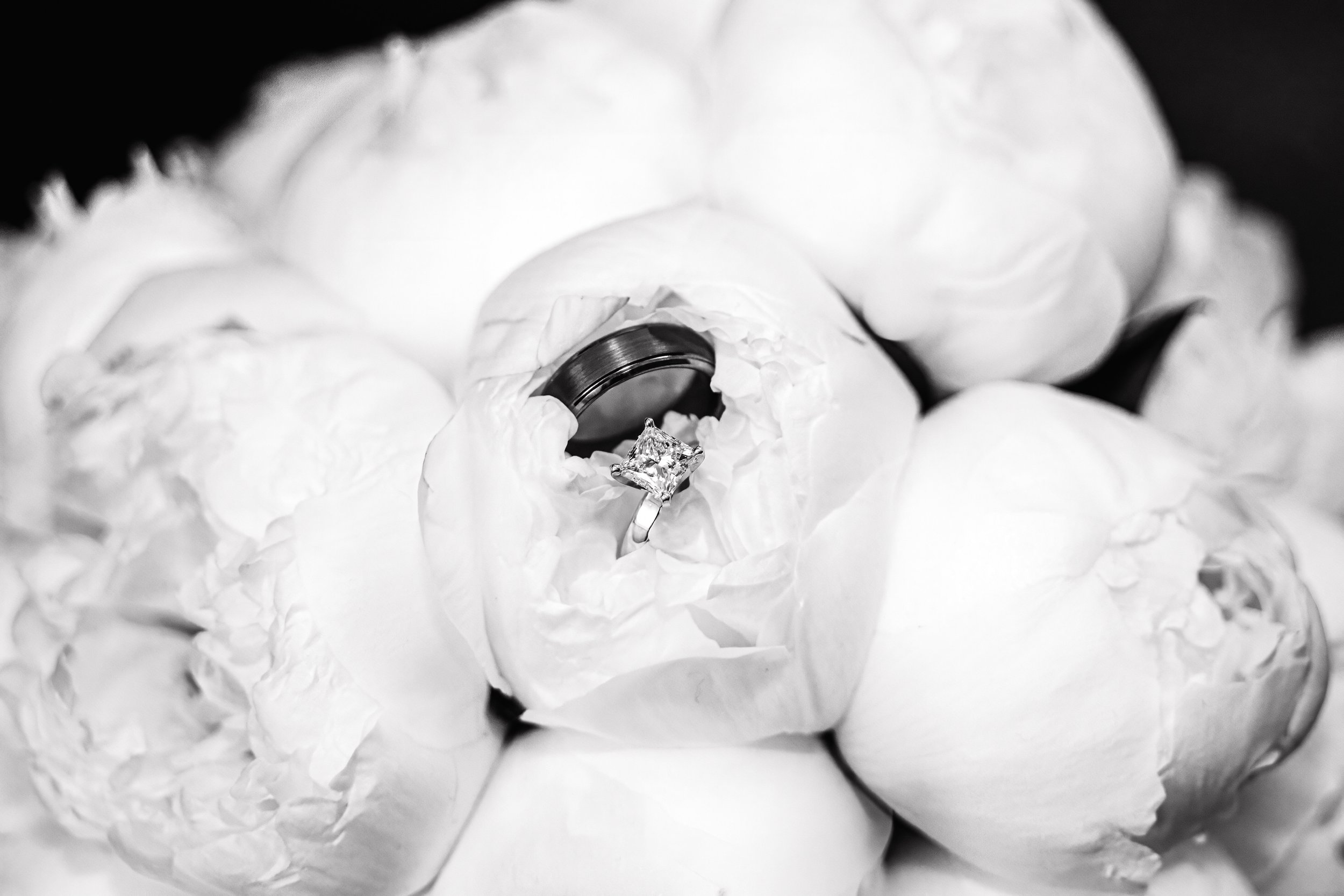 LOW RES Photography By Jill Emmer-500.jpg