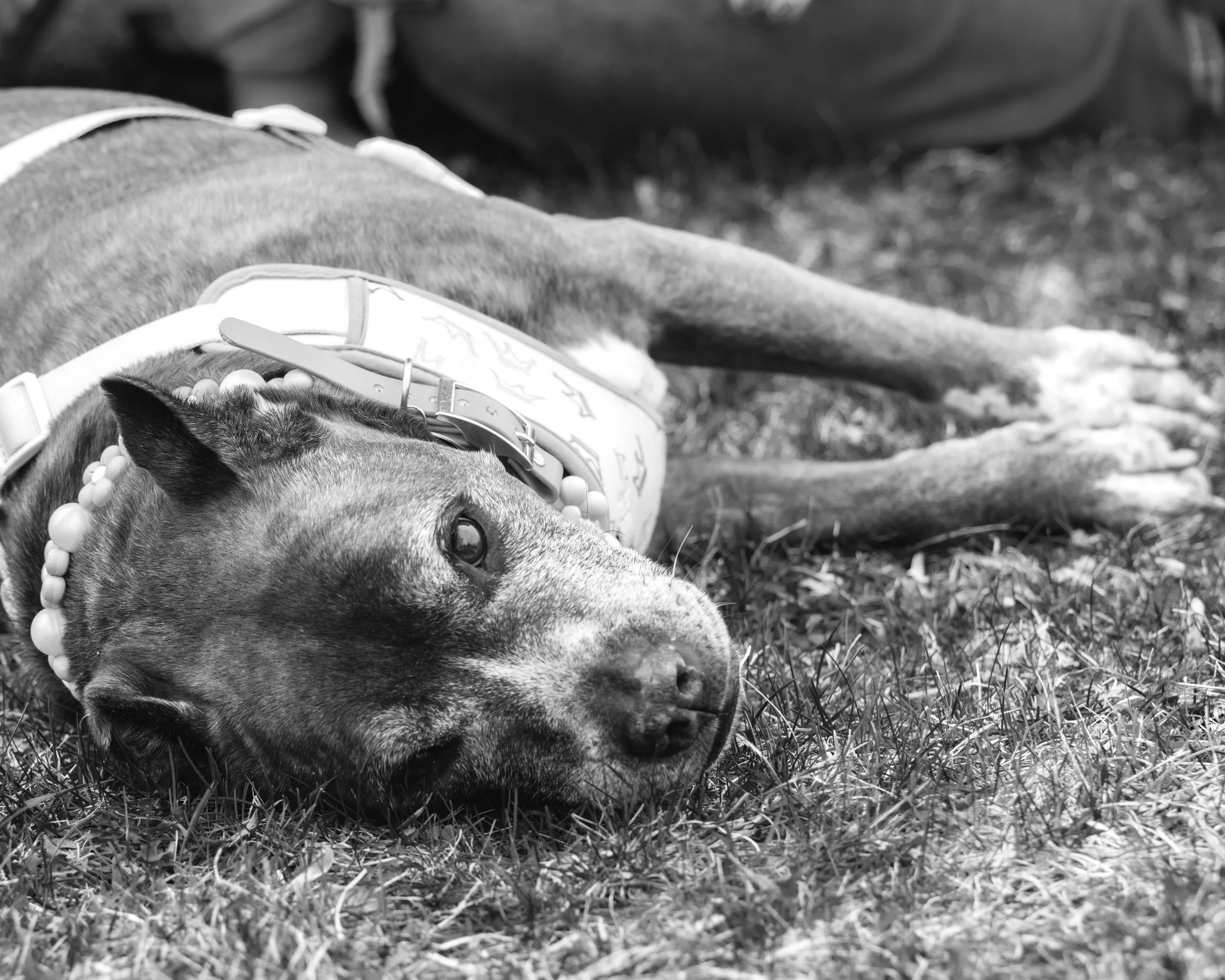 LOW RES Photography By Jill Emmer -67.jpg