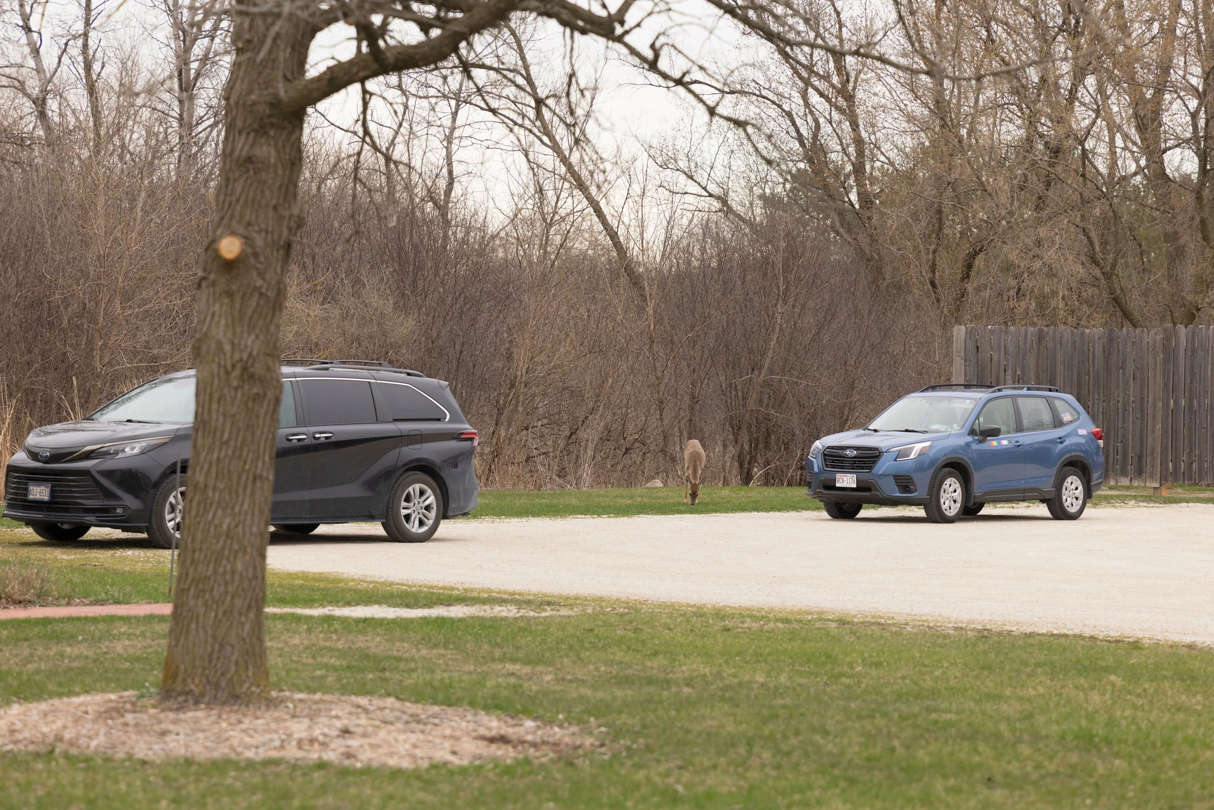 LOW RES Photography By Jill Emmer -147.jpg