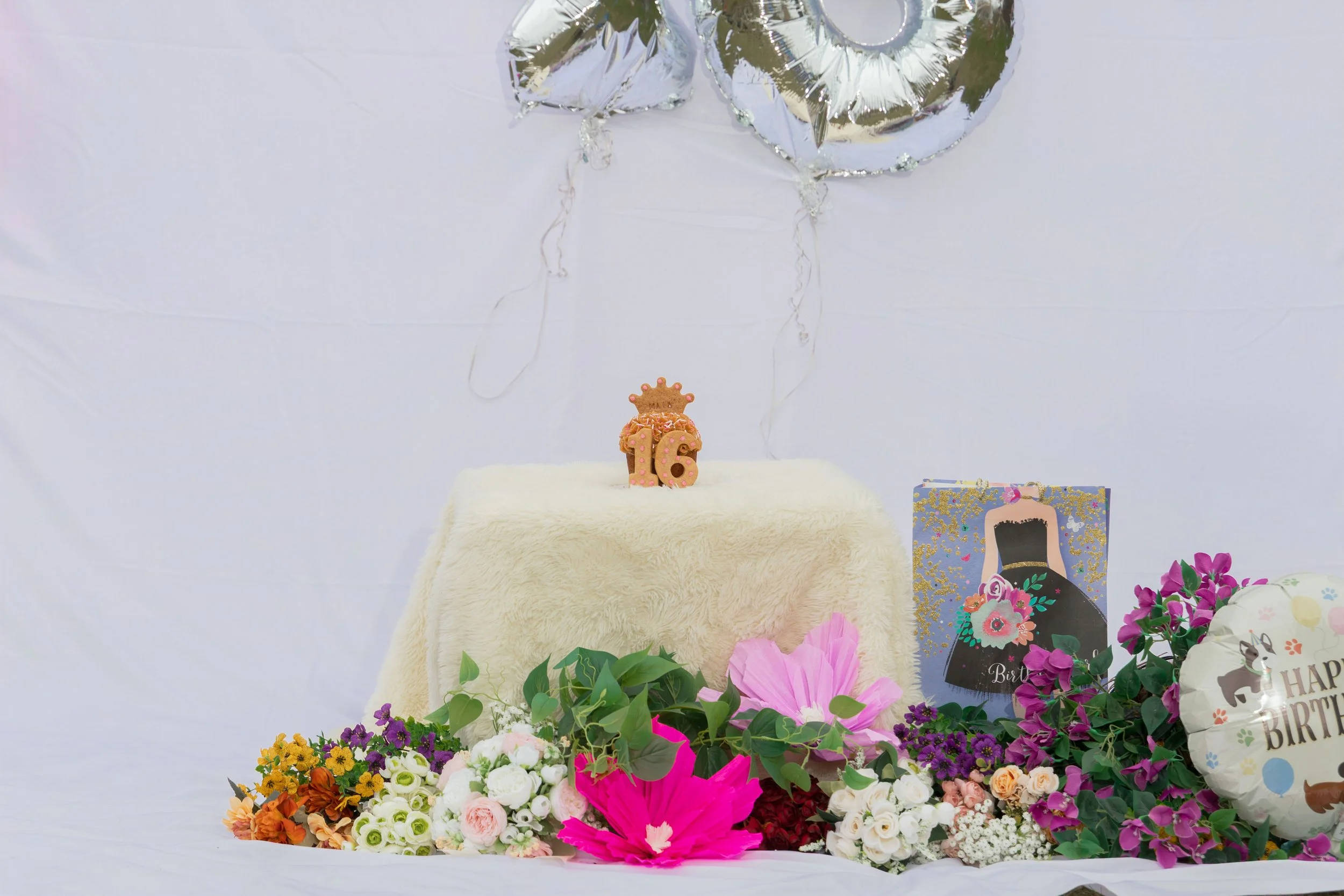 LOW RES Photography By Jill Emmer -188.jpg