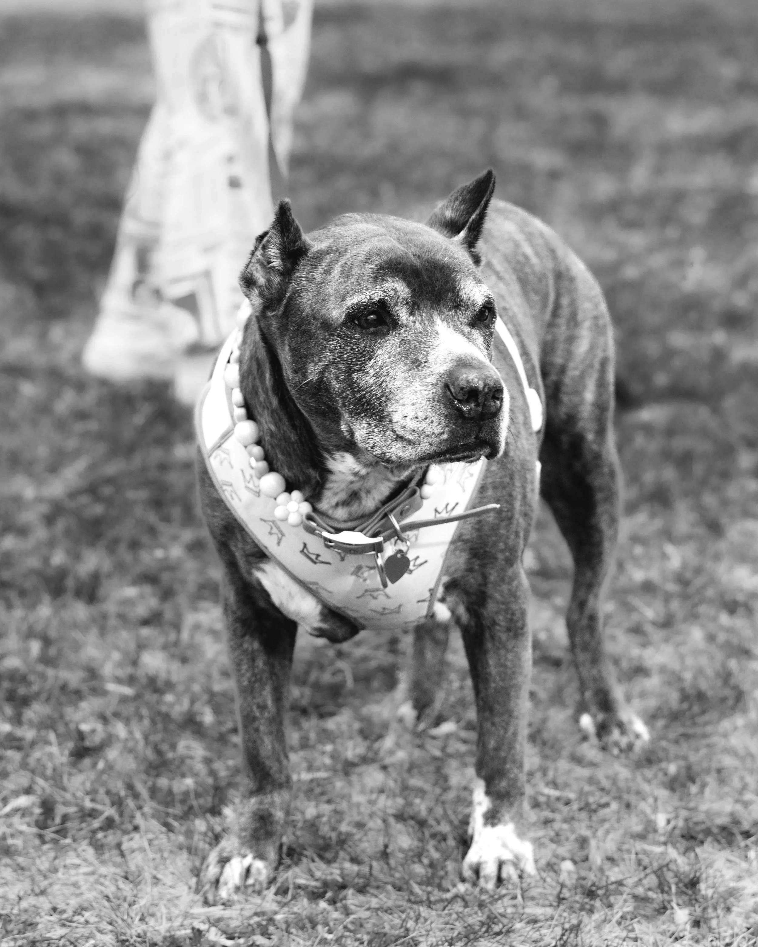 LOW RES Photography By Jill Emmer -199.jpg