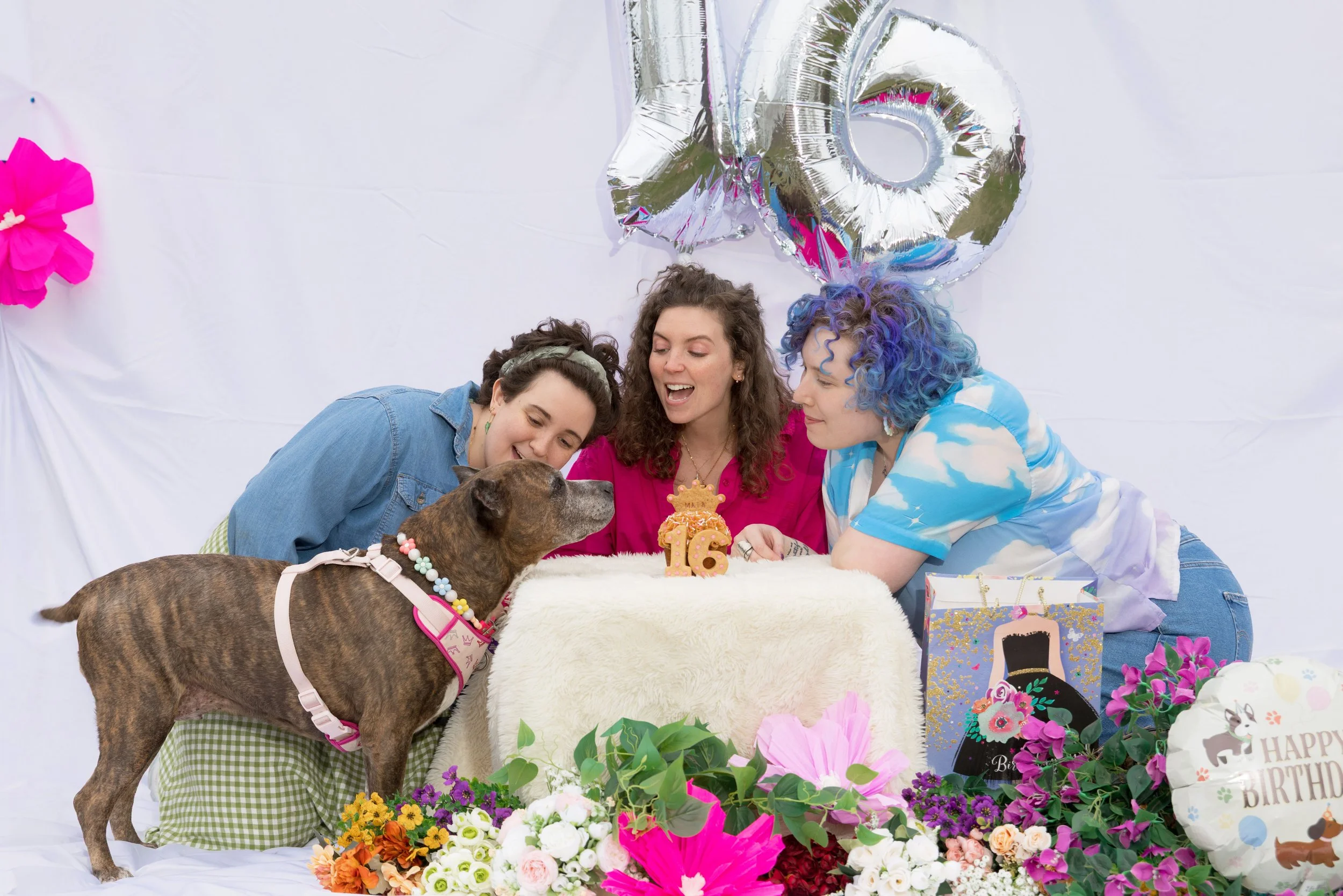 LOW RES Photography By Jill Emmer -203.jpg