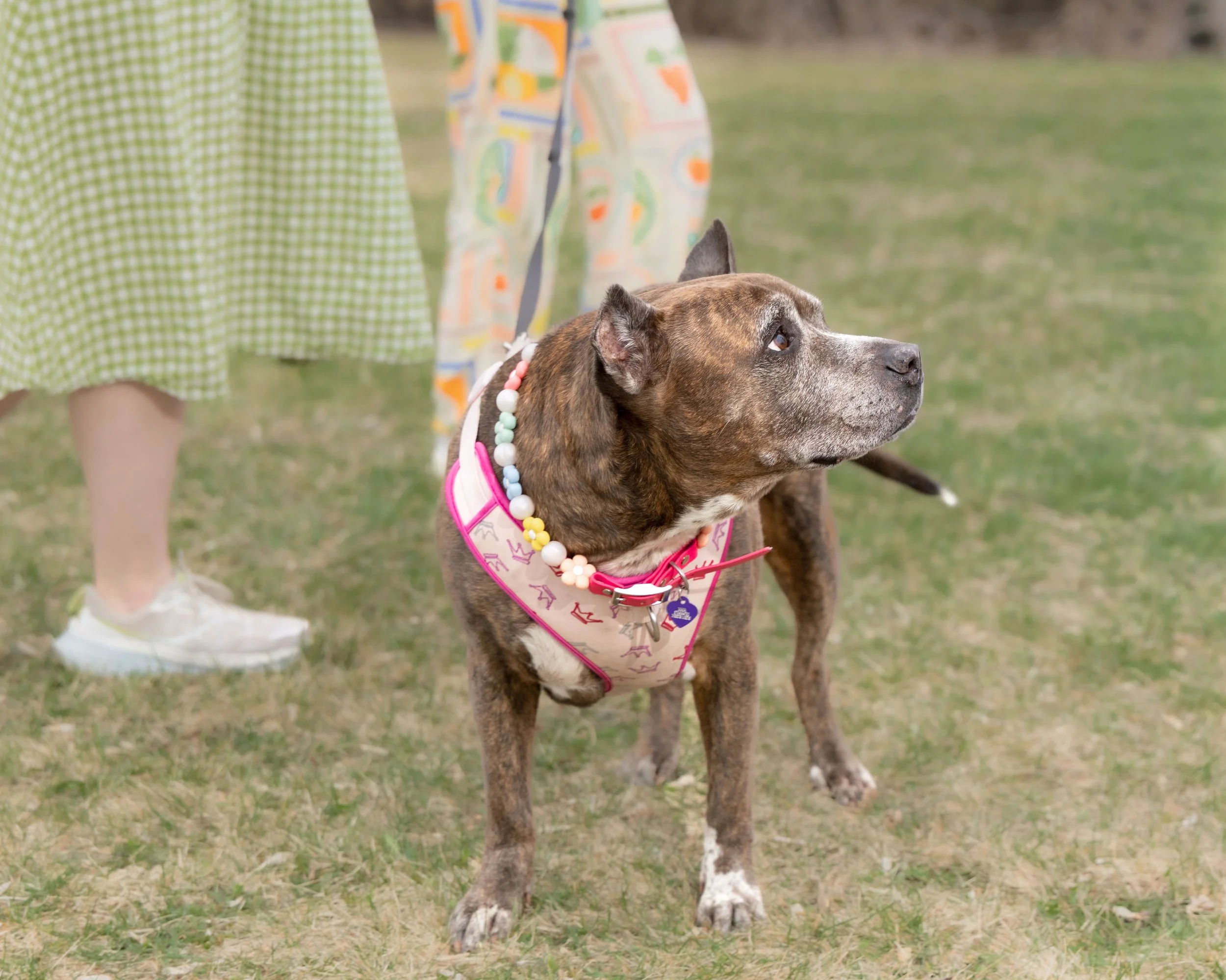 LOW RES Photography By Jill Emmer -207.jpg