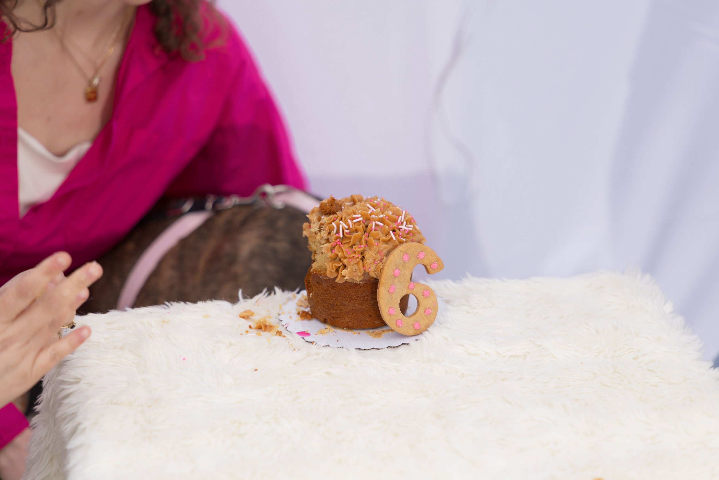 LOW RES Photography By Jill Emmer -232.jpg