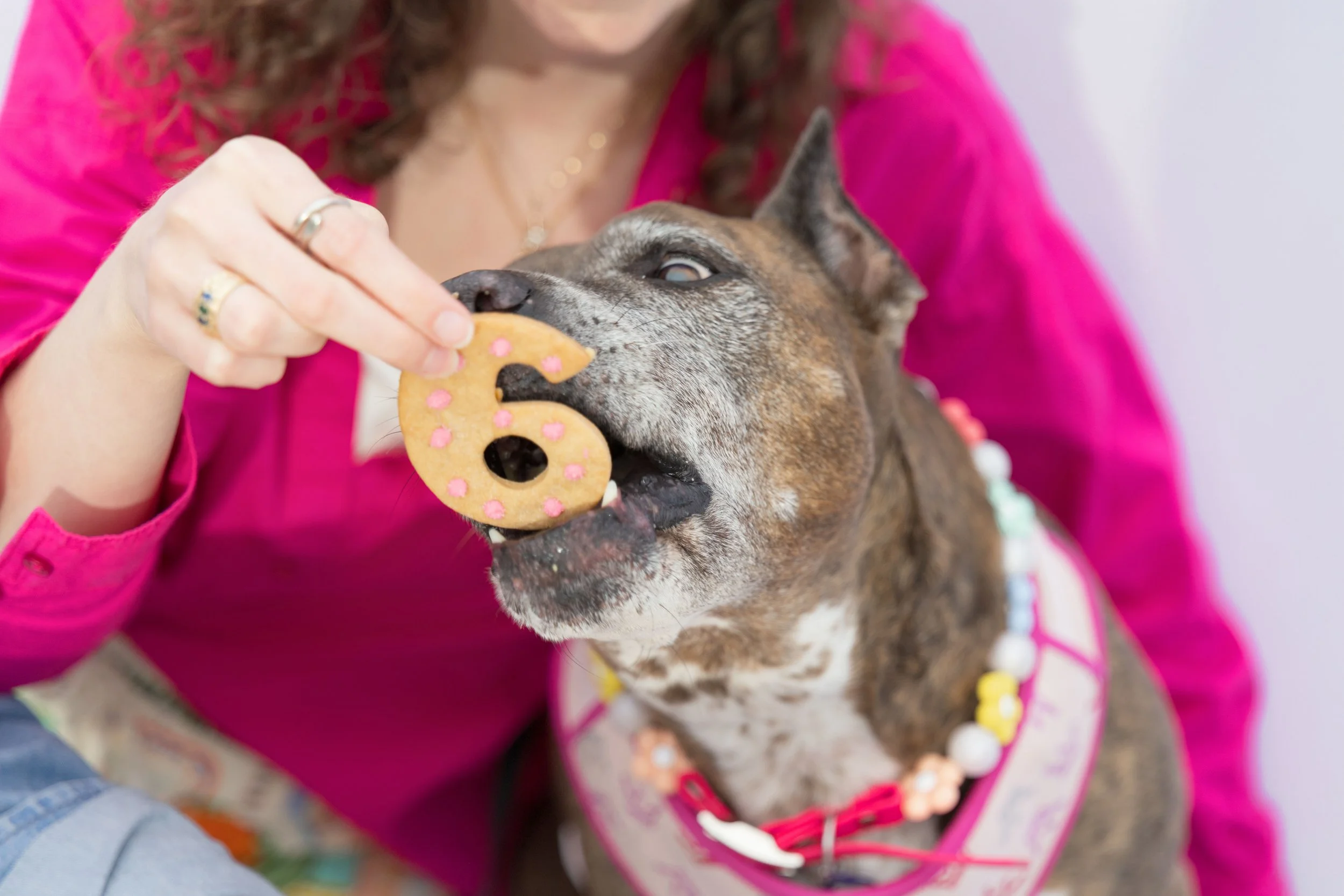 LOW RES Photography By Jill Emmer -234.jpg