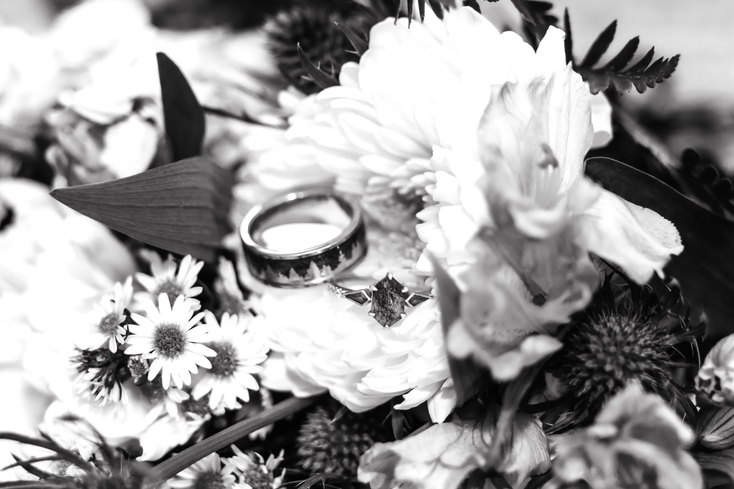 LOW RES Photography By Jill Emmer -23.jpg