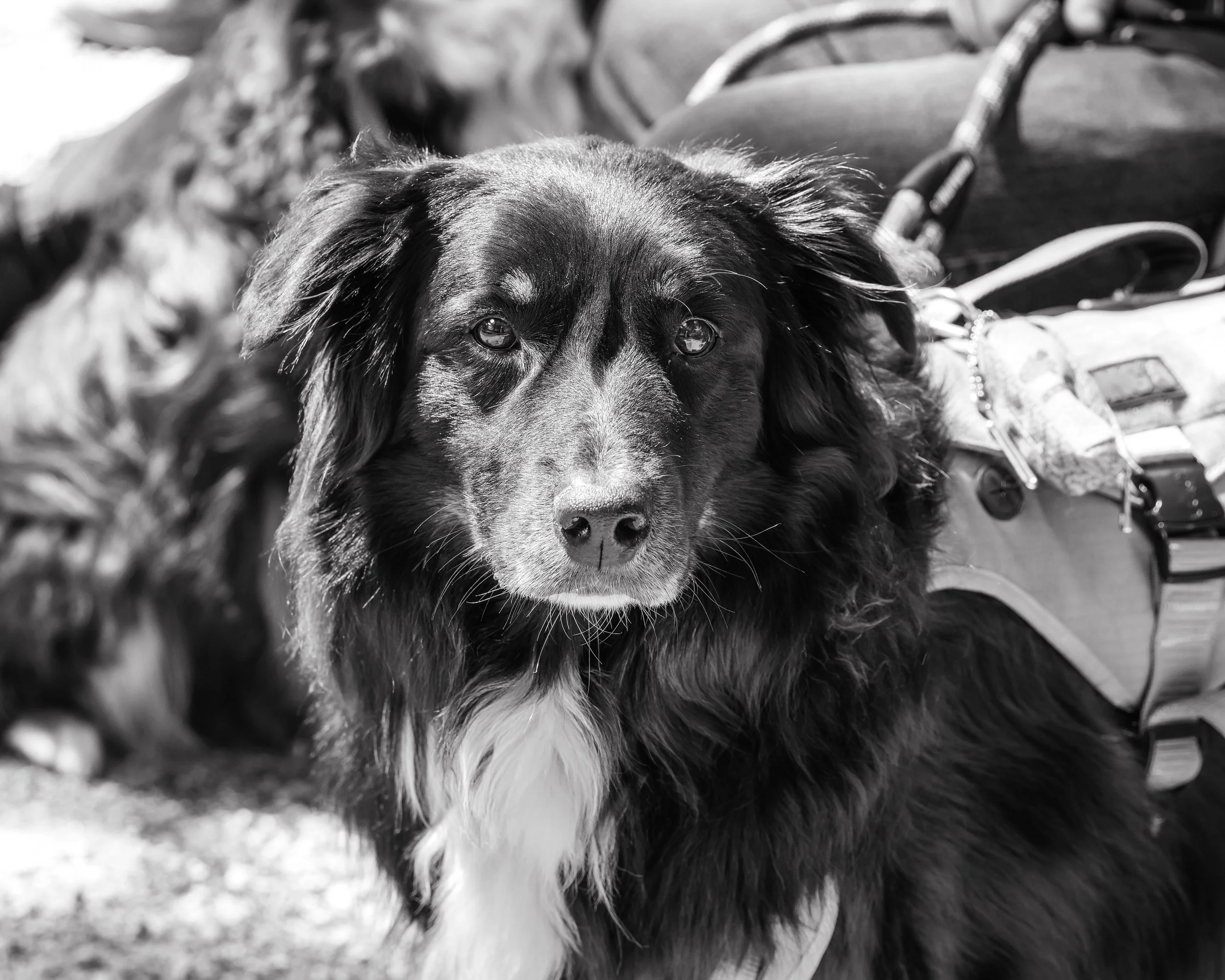LOW RES Photography By Jill Emmer -187.jpg