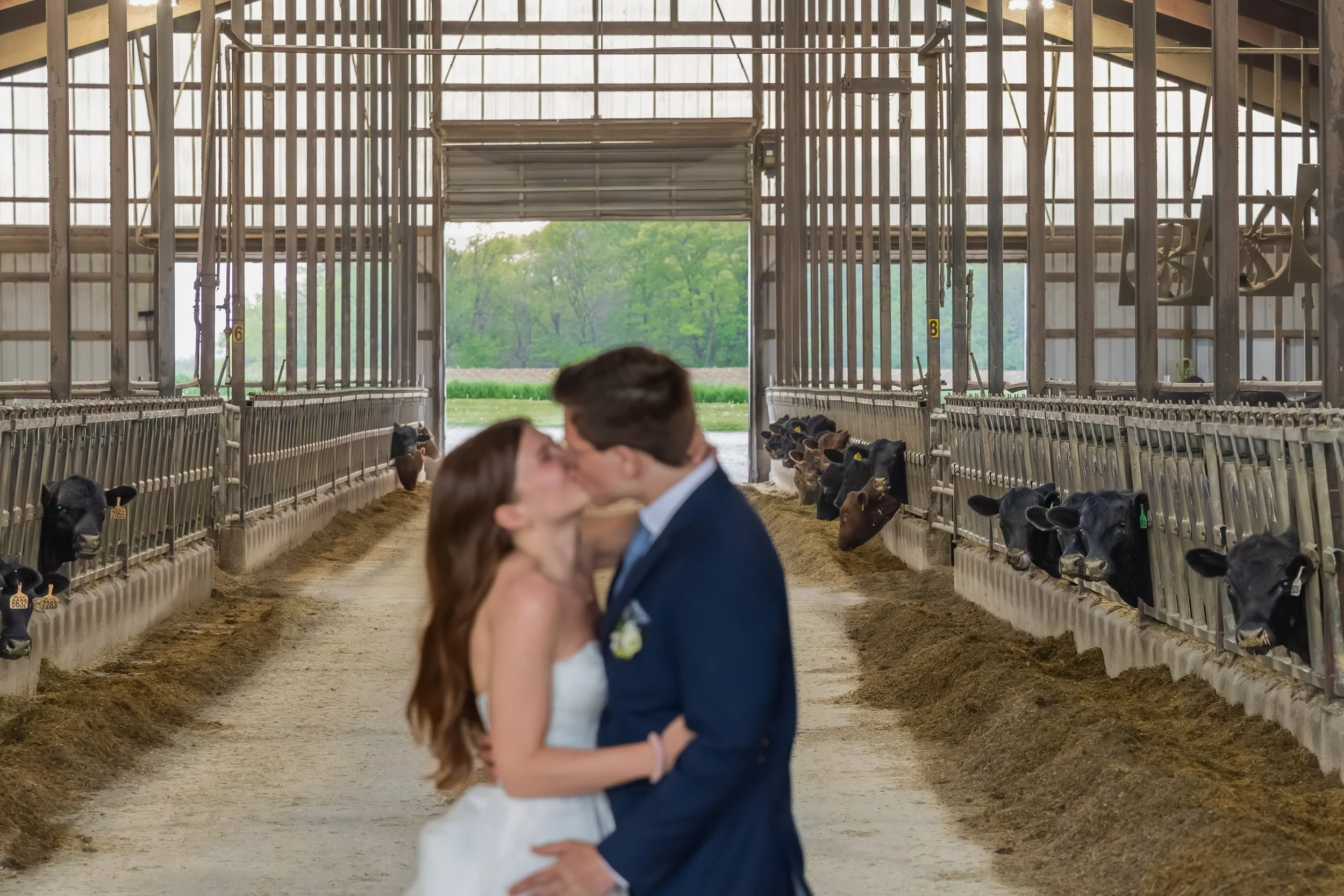 LOW RES Photography By Jill Emmer -148.jpg
