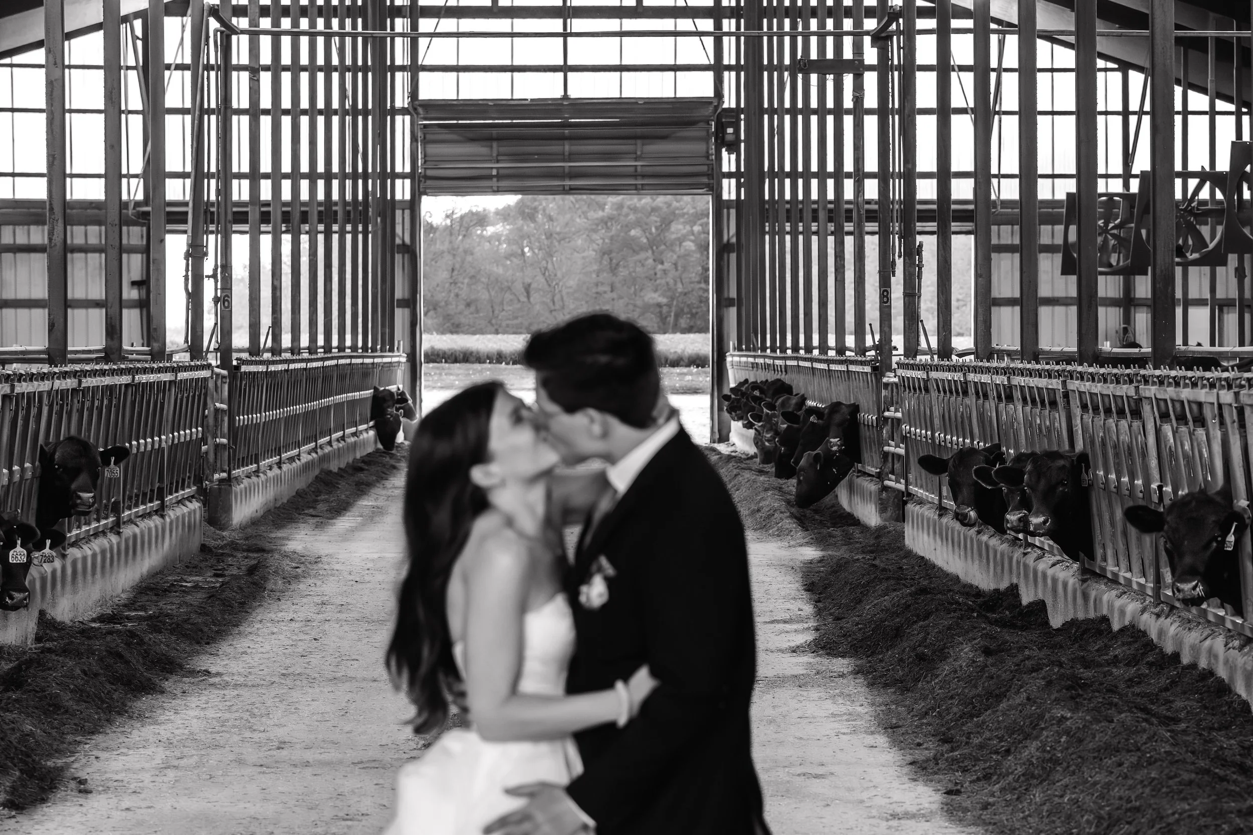 LOW RES Photography By Jill Emmer -149.jpg