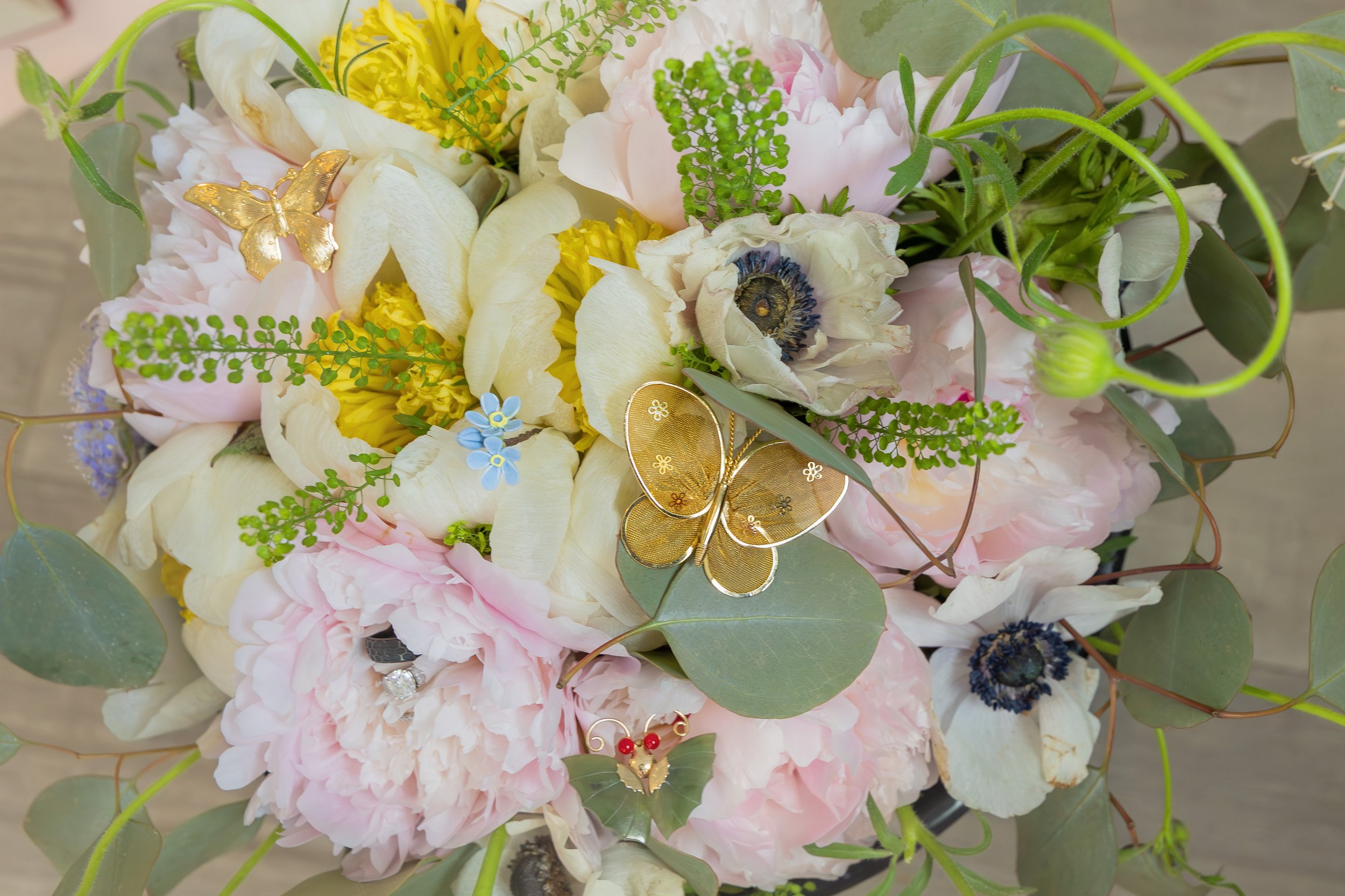 LOW RES Photography By Jill Emmer -11.jpg