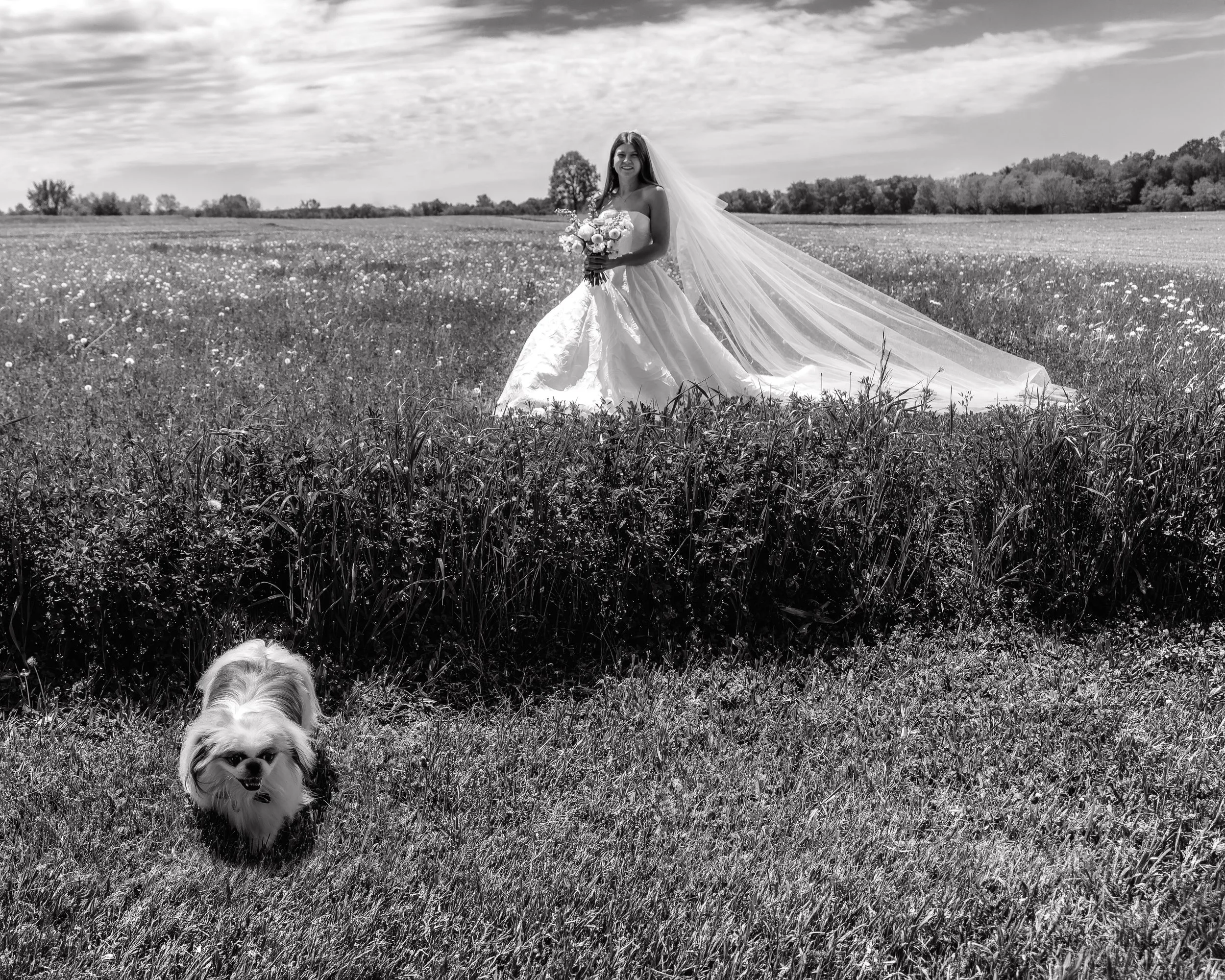 LOW RES Photography By Jill Emmer --2-Edit-2.jpg