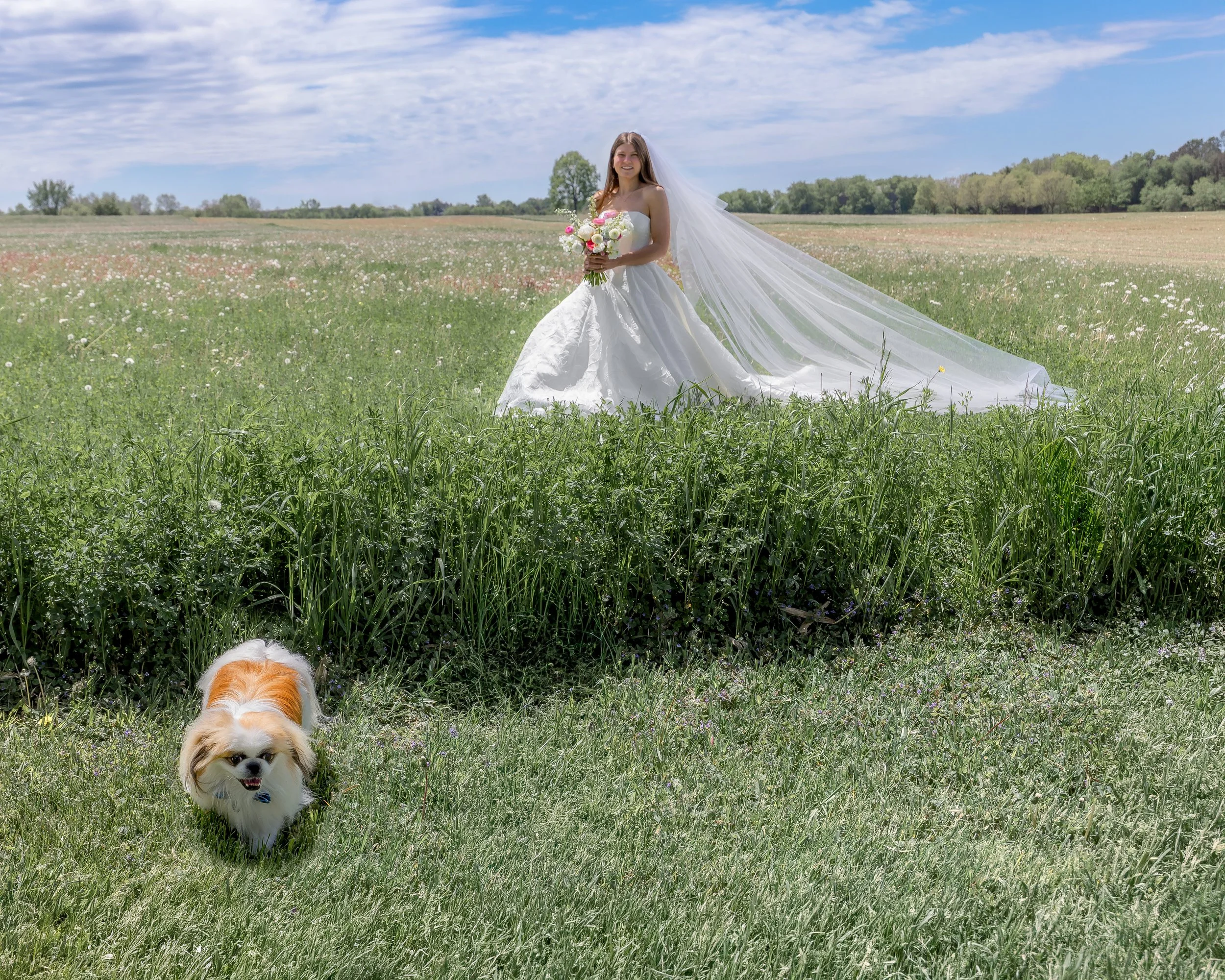 LOW RES Photography By Jill Emmer --2-Edit.jpg