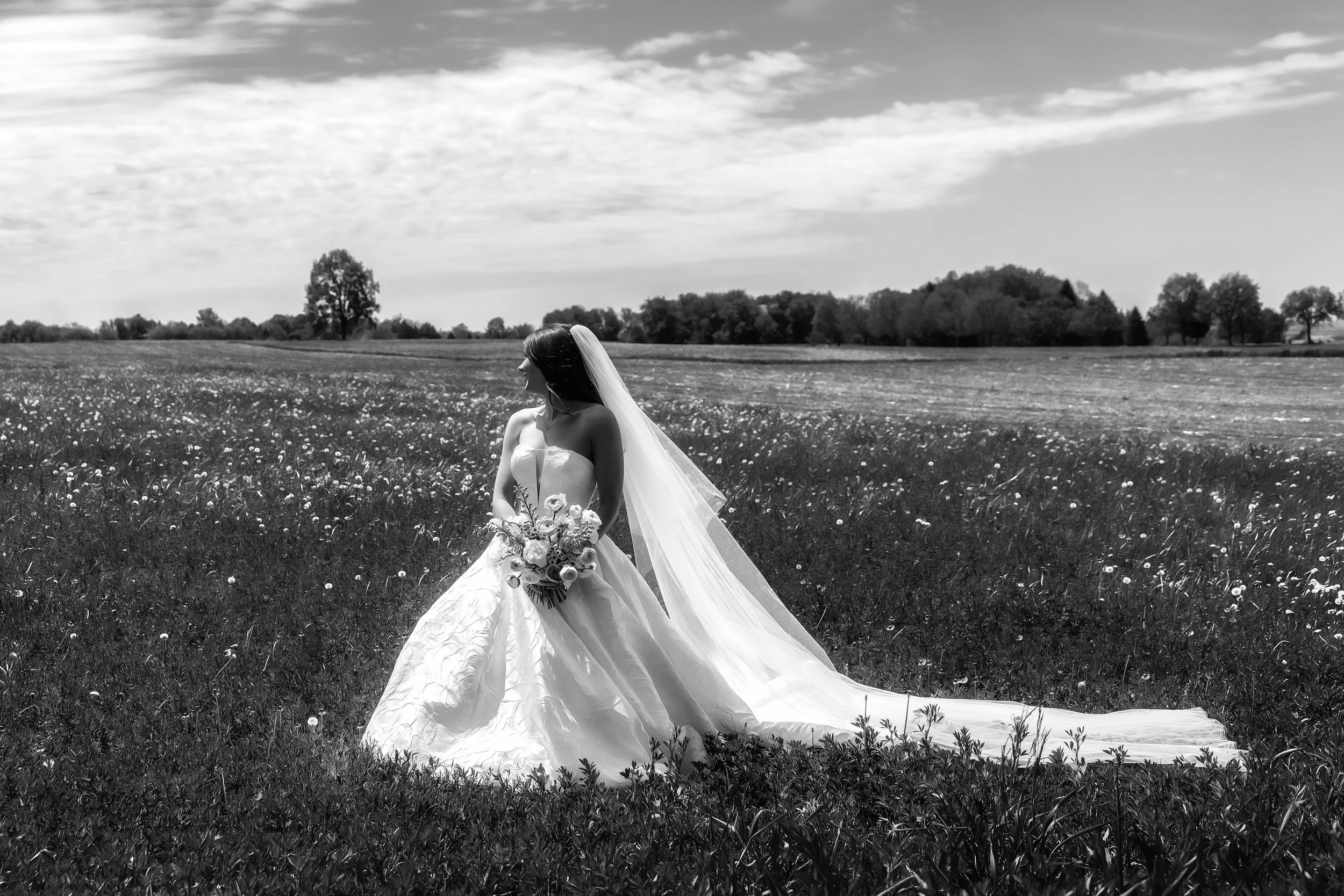 LOW RES Photography By Jill Emmer --5-2.jpg