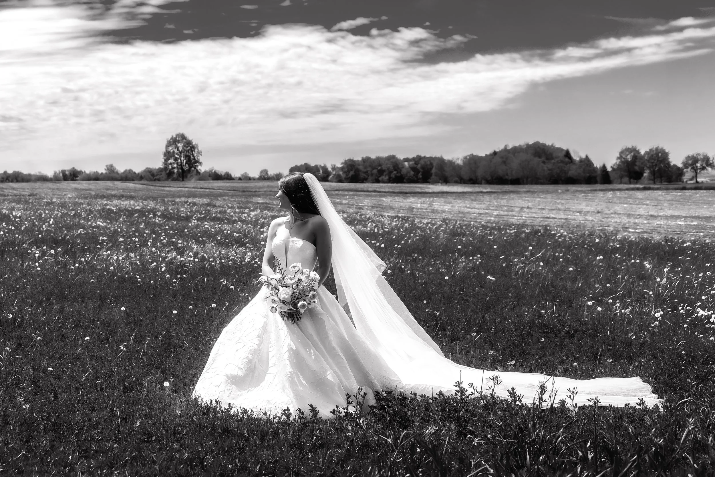 LOW RES Photography By Jill Emmer --5-3.jpg