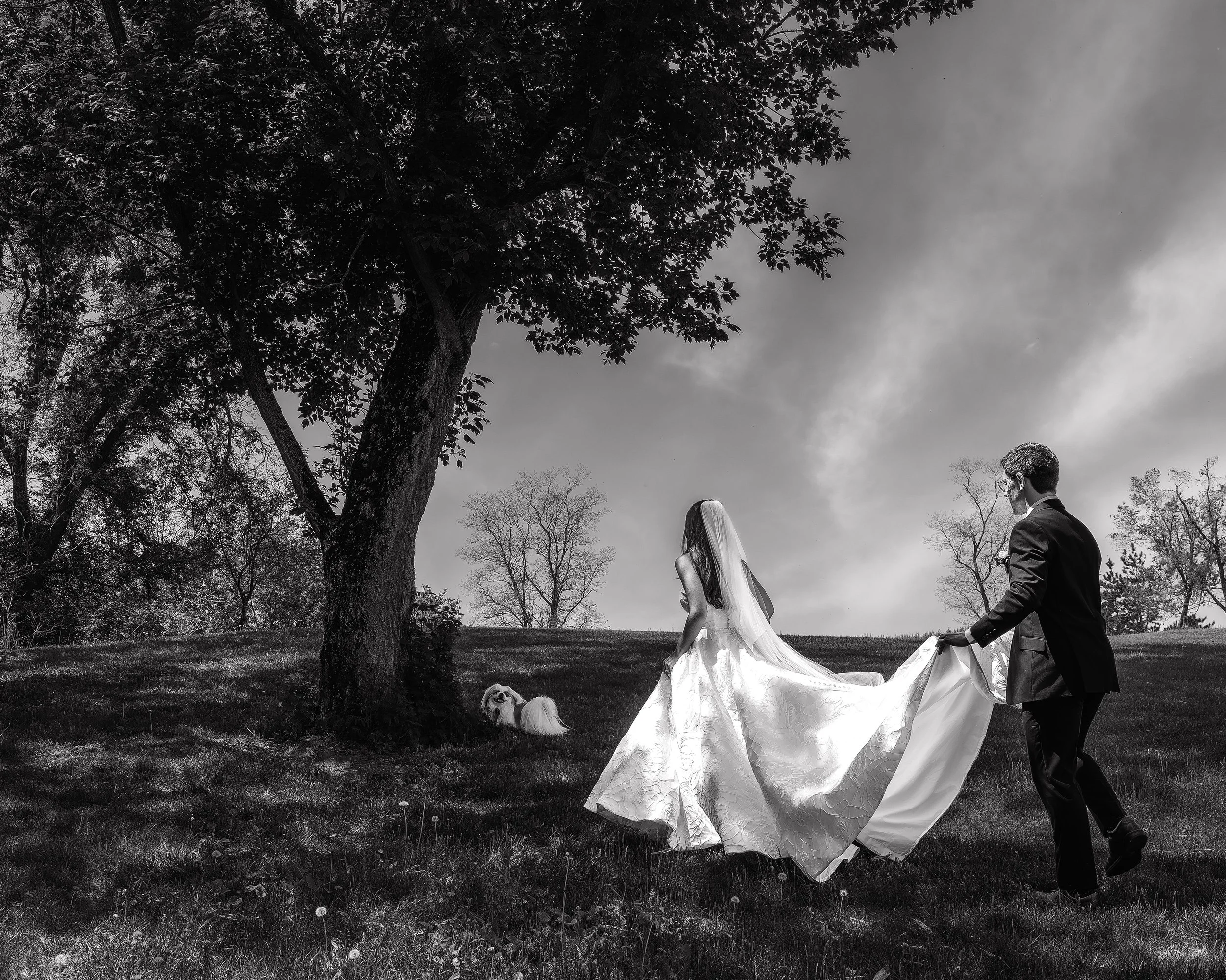 LOW RES Photography By Jill Emmer --15-2.jpg