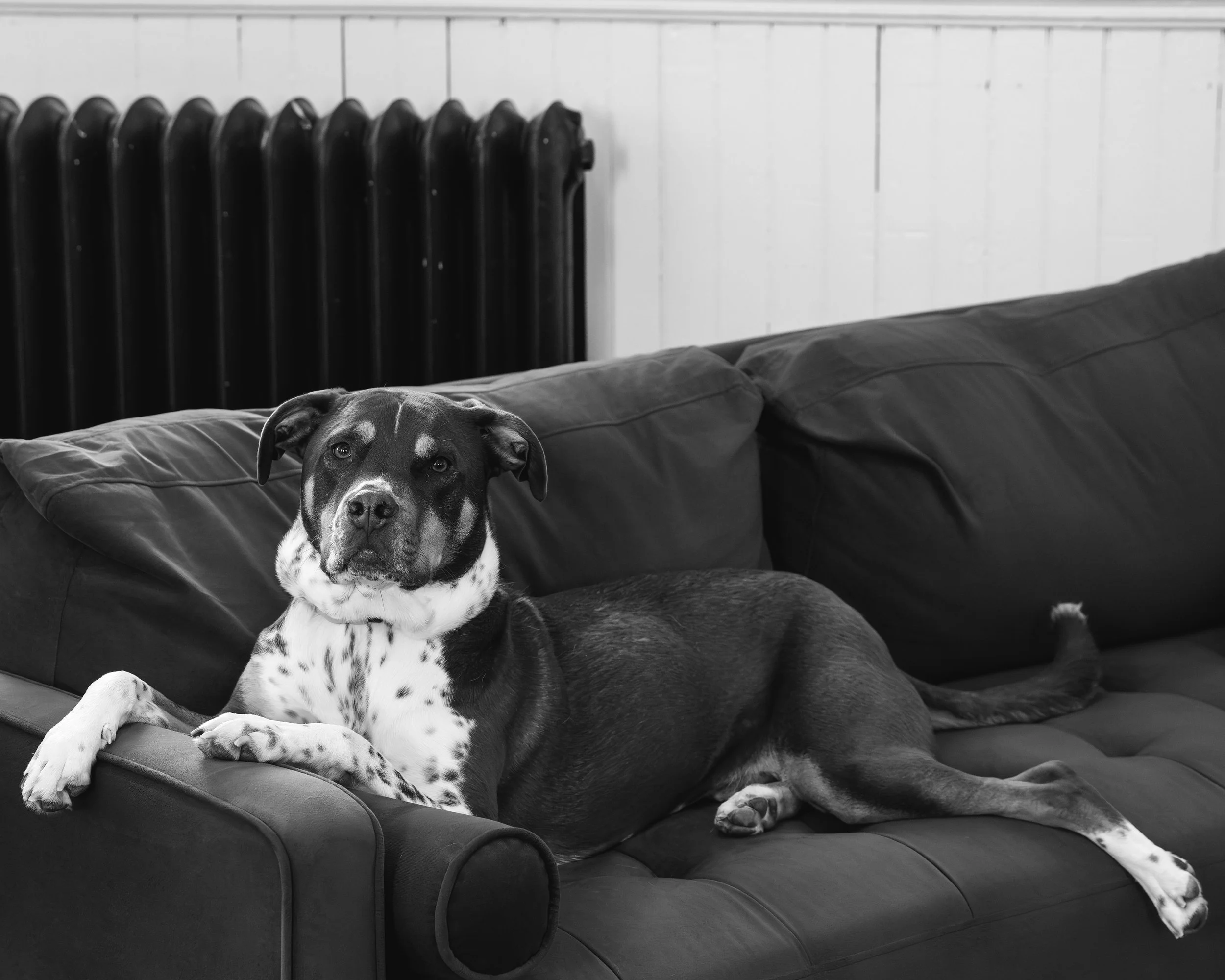 Photography By Jill Emmer -30-2.jpg