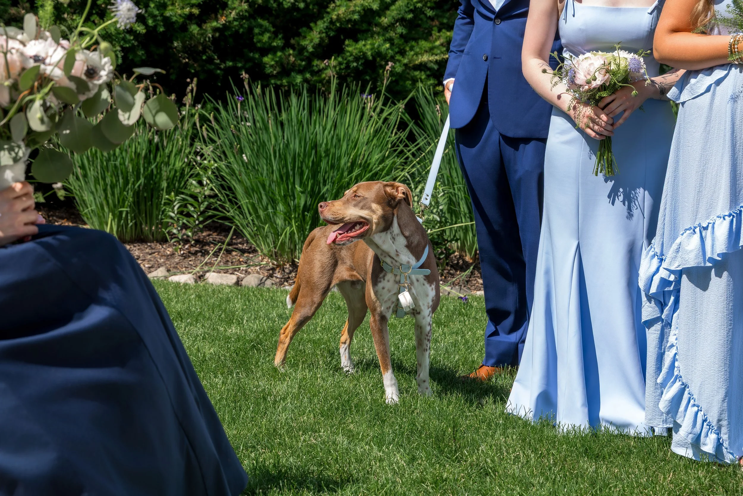 Photography By Jill Emmer -309.jpg